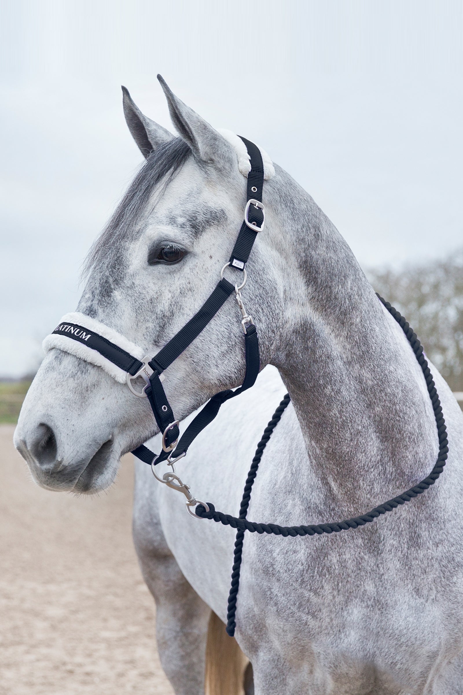 Horze Howard Soft Lead Halters & Leads