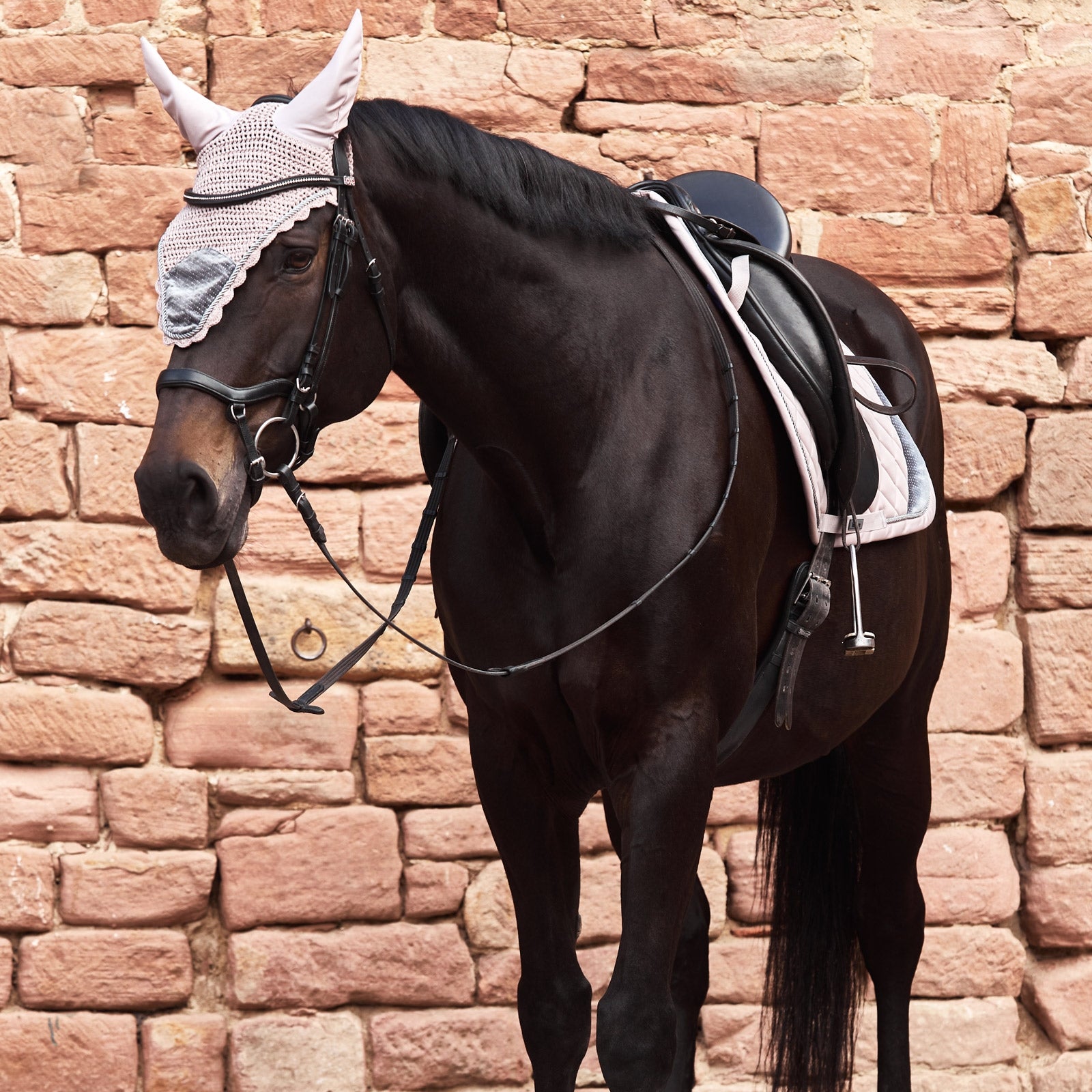 Horze Pomona Ear Net Saddle Pads