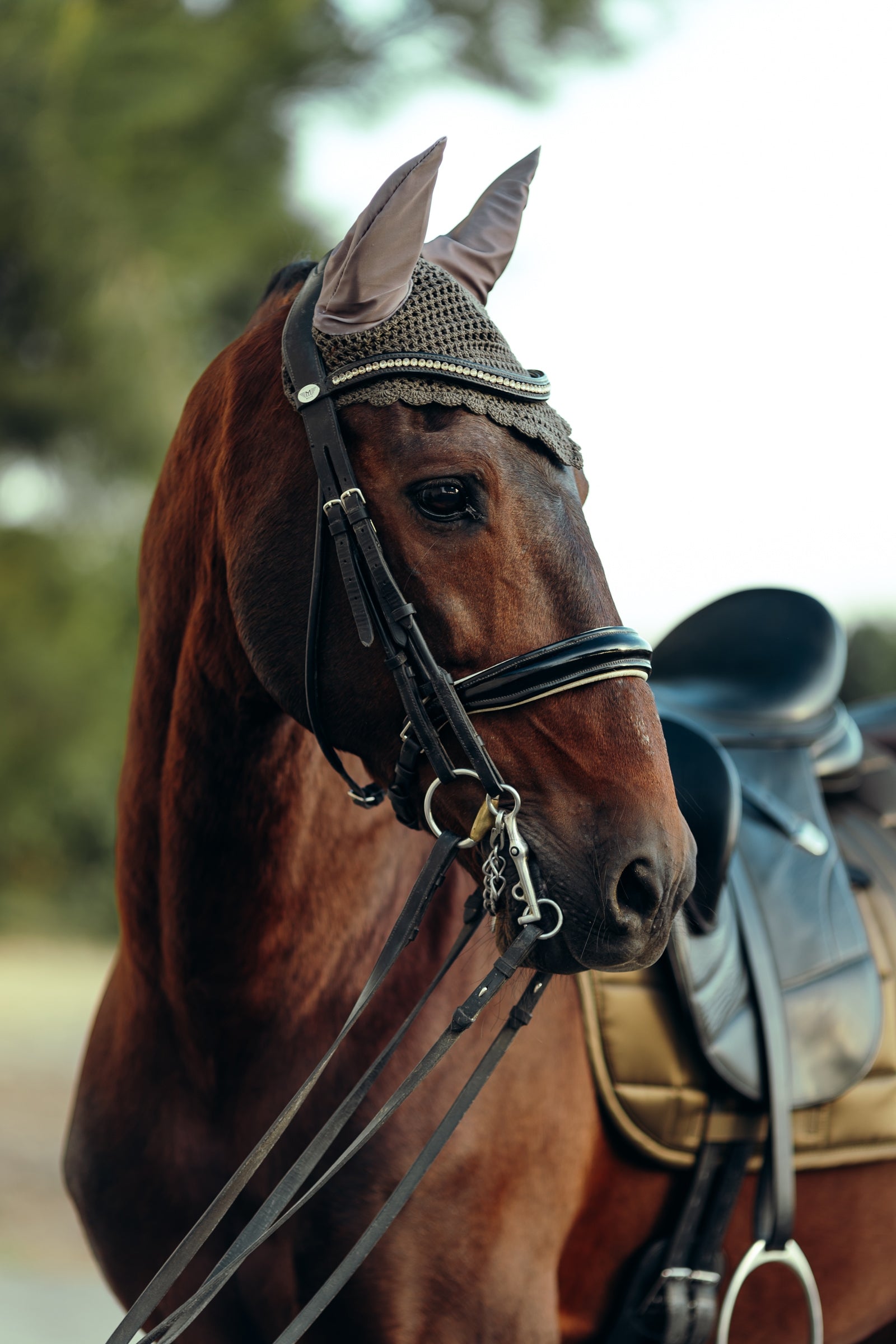 B Vertigo Drew Ear Net Saddle Pads