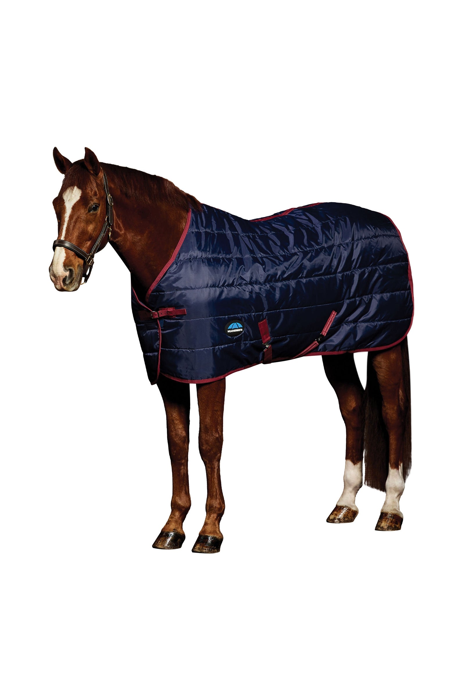Weatherbeeta ComFiTec 210D Channel Quilt Stable Rug Standard Neck 220G Horse Rugs