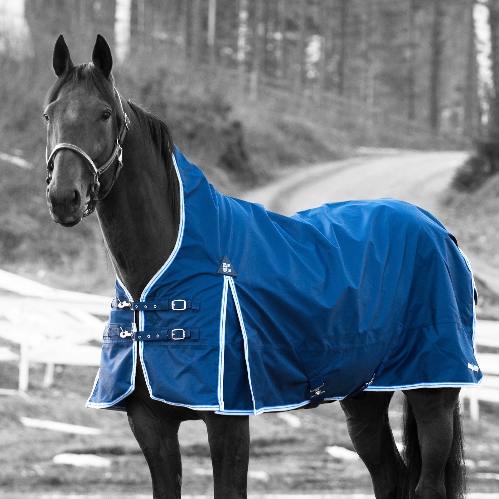 Finntack Pro Alaska Turnout Rug with high neck Horse Rugs