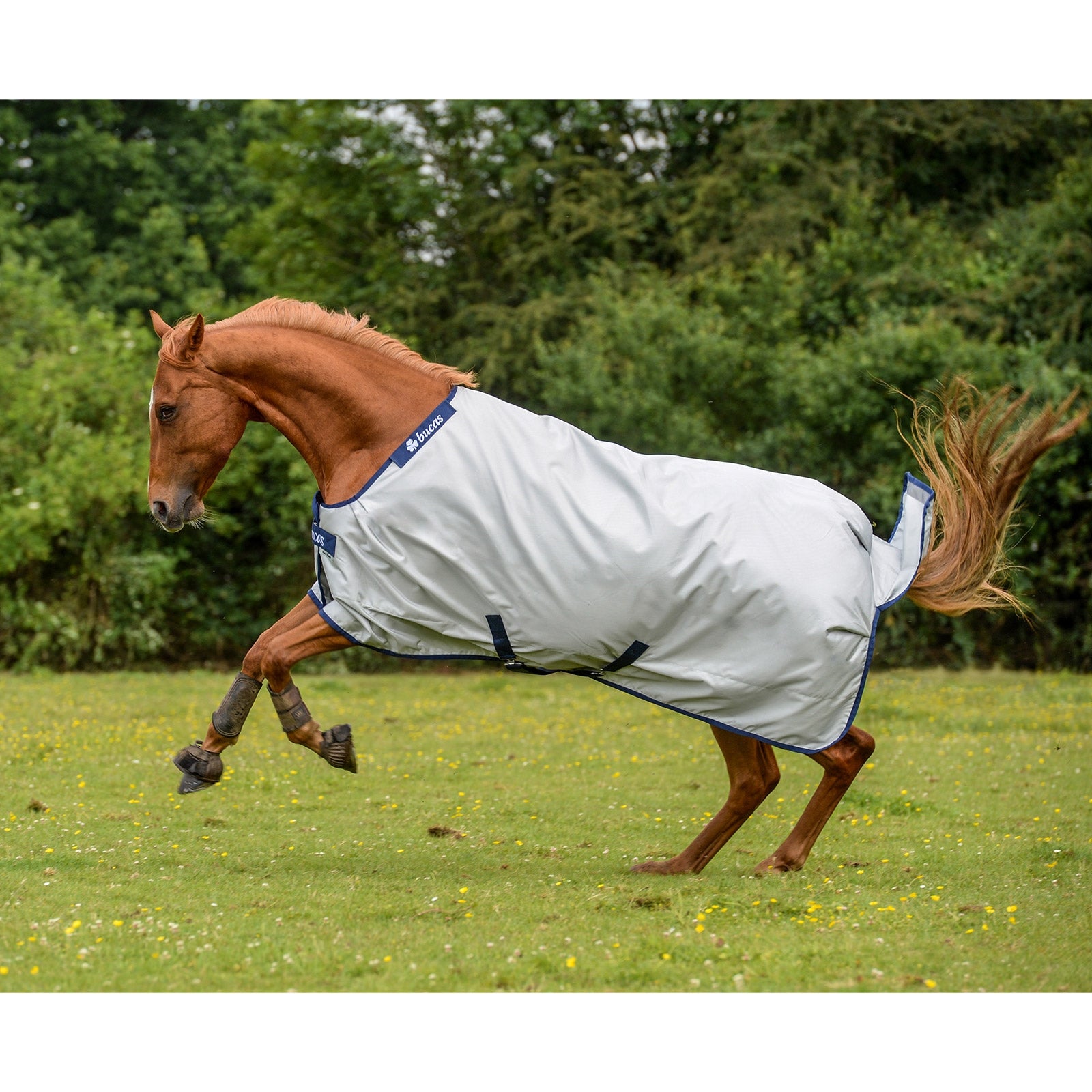 Bucas Bucas Power Turnout Light Classic deken Paardendekens