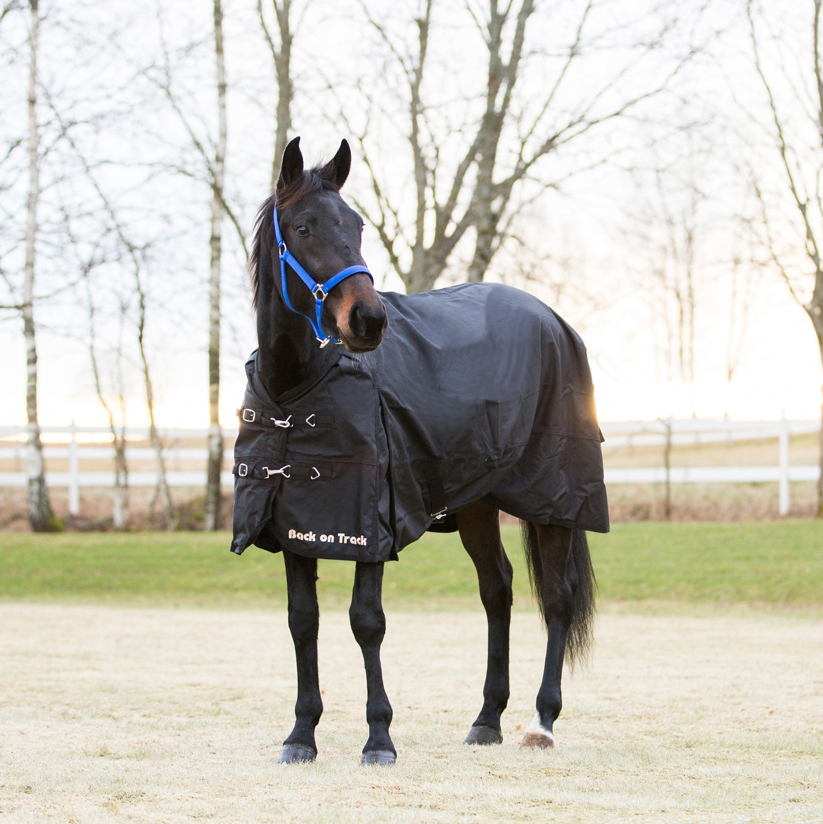 Back on Track Regendeken 1680D Paardendekens