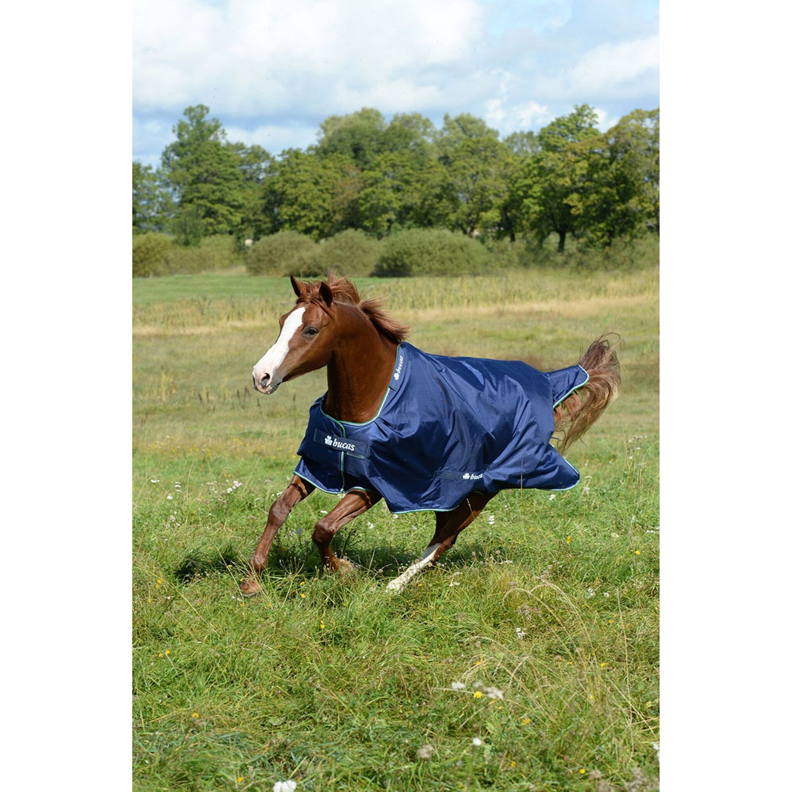 Bucas Smartex Medium Turnout deken Paardendekens