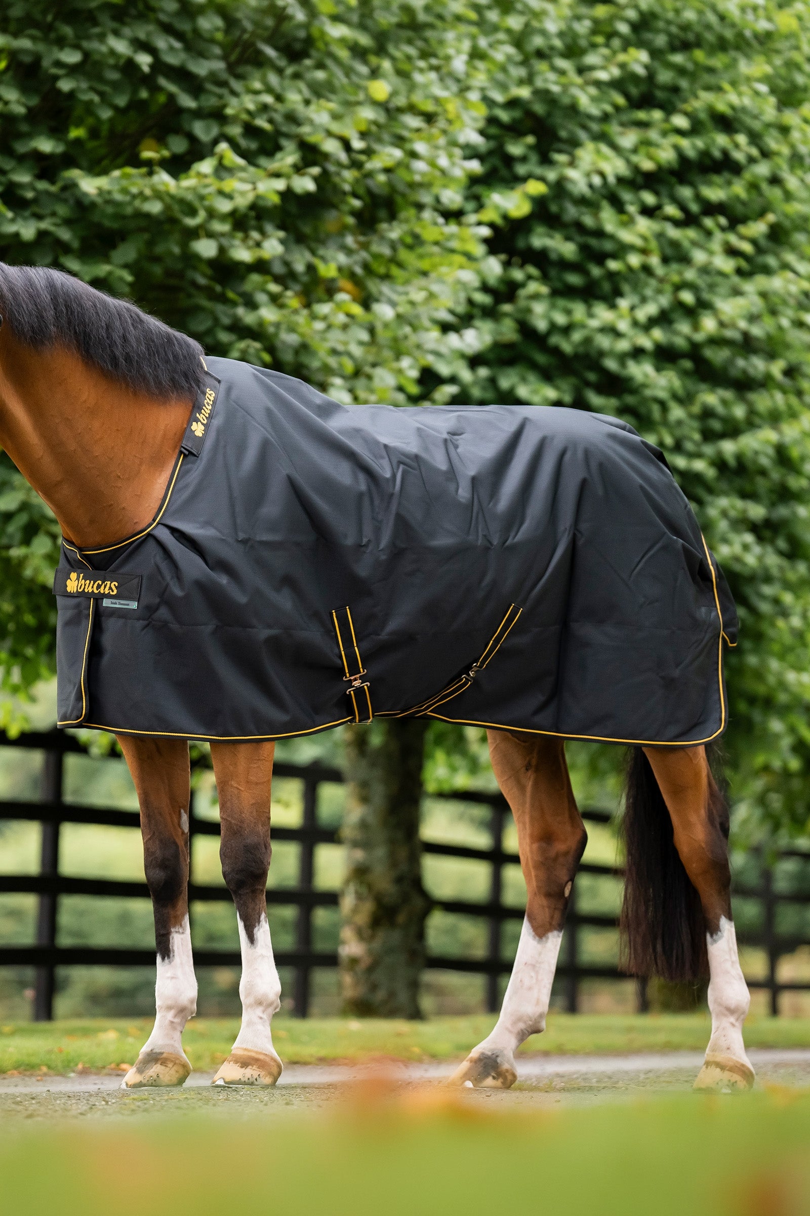 Bucas Irish Turnout Rug, 50g Horse Rugs