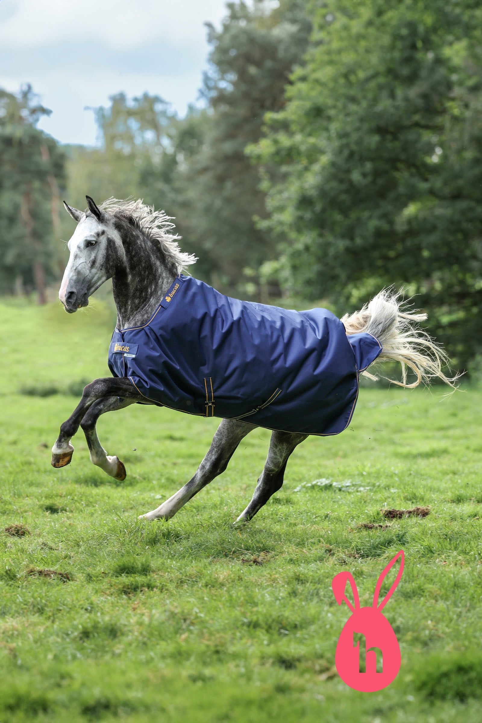 Bucas Irish outdoordeken, 50g Paardendekens