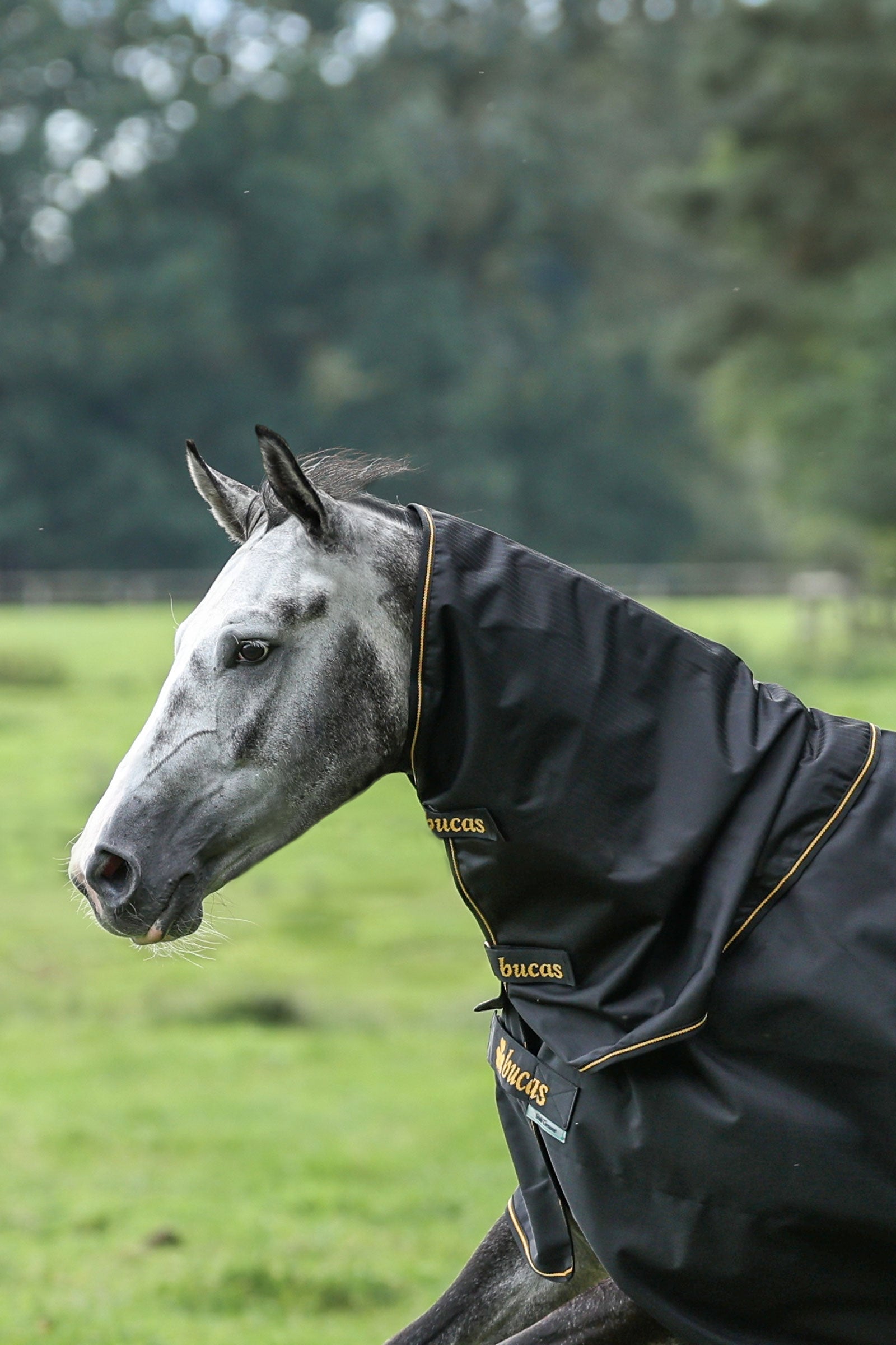 Bucas Irish Turnout halsdeel, 0g Paardendekens