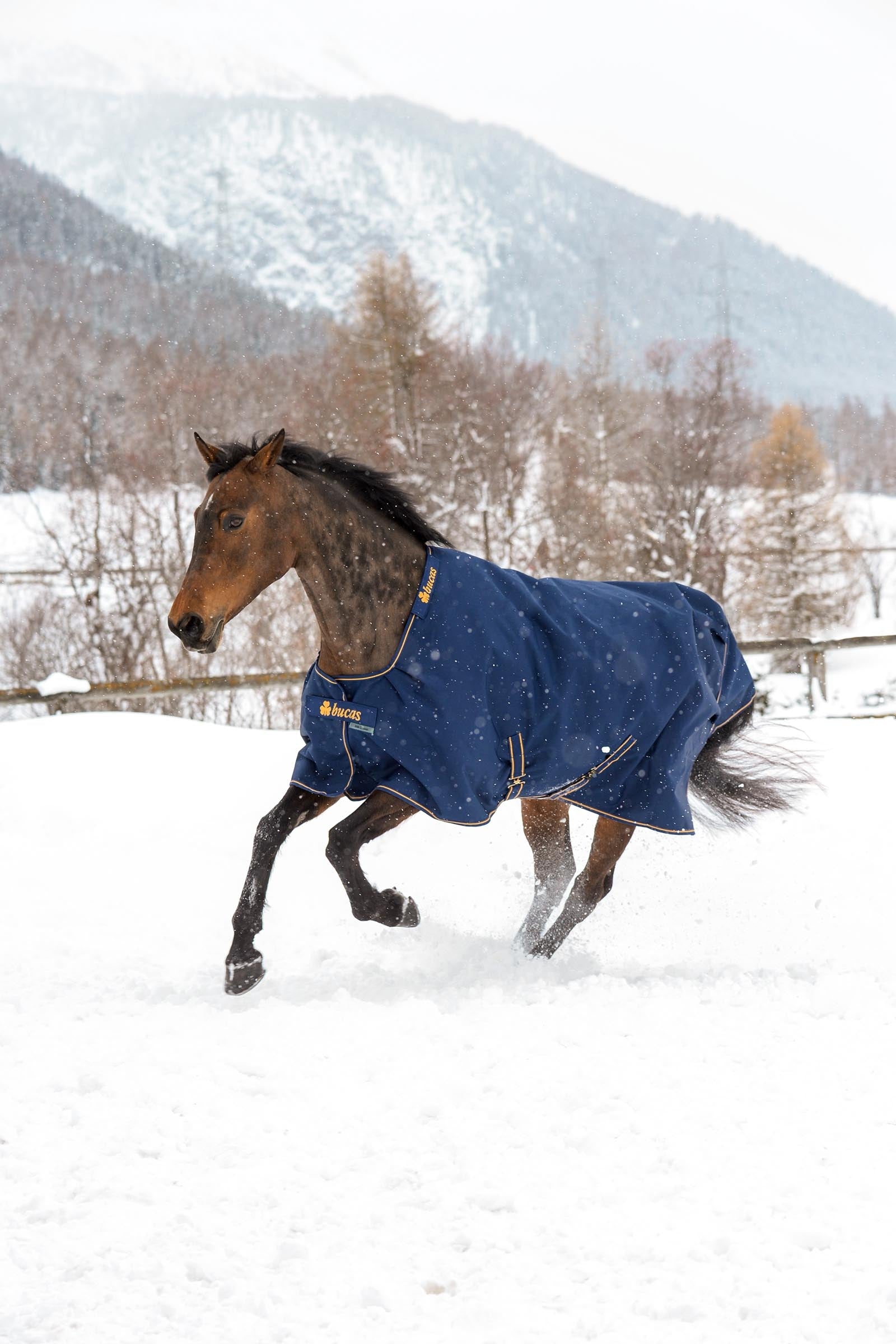Bucas Irish Turnout Extra Pony Turnout Rug, 300g Horse Rugs