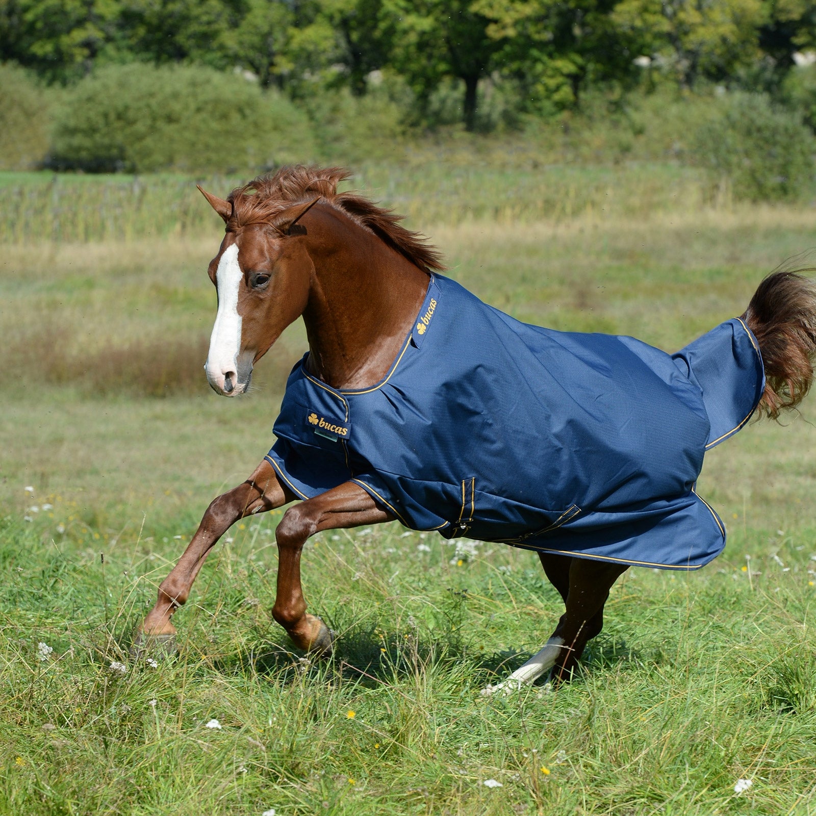 Bucas Irish Turnout Extra, pony Paardendekens