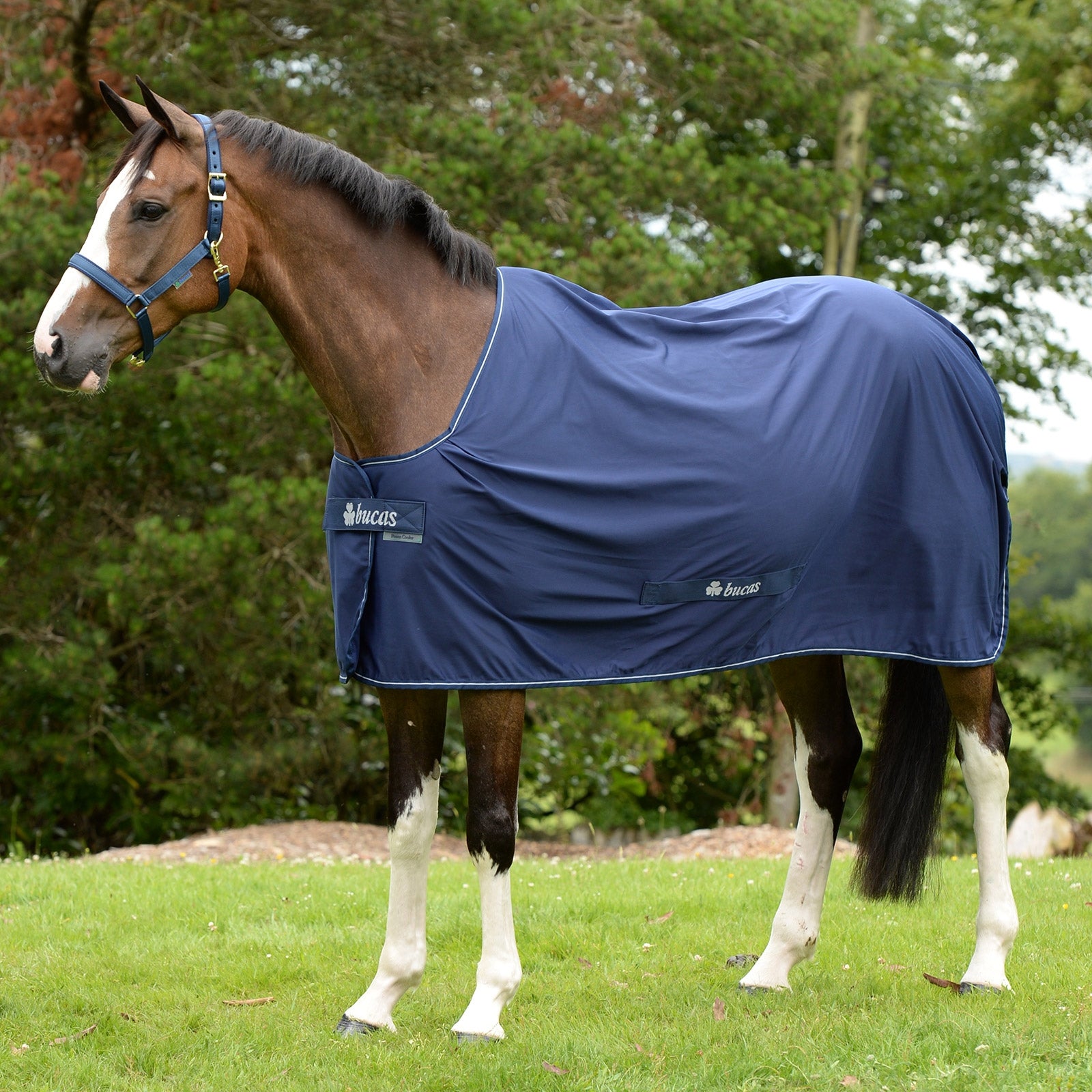 Bucas Shamrock Power Ponydeken Paardendekens