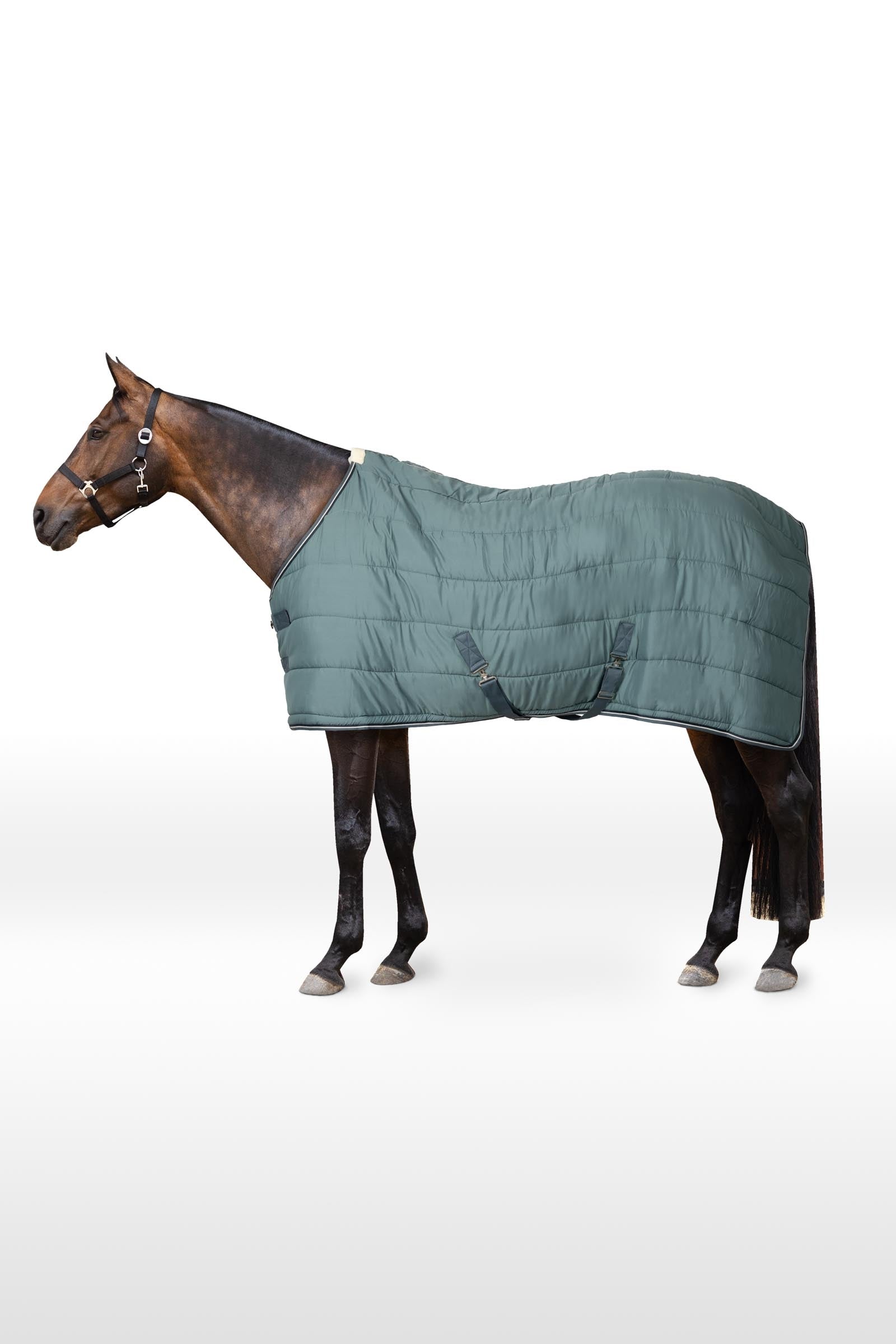 Horze Glasgow Staldeken / Onderdeken, 200 gram Paardendekens