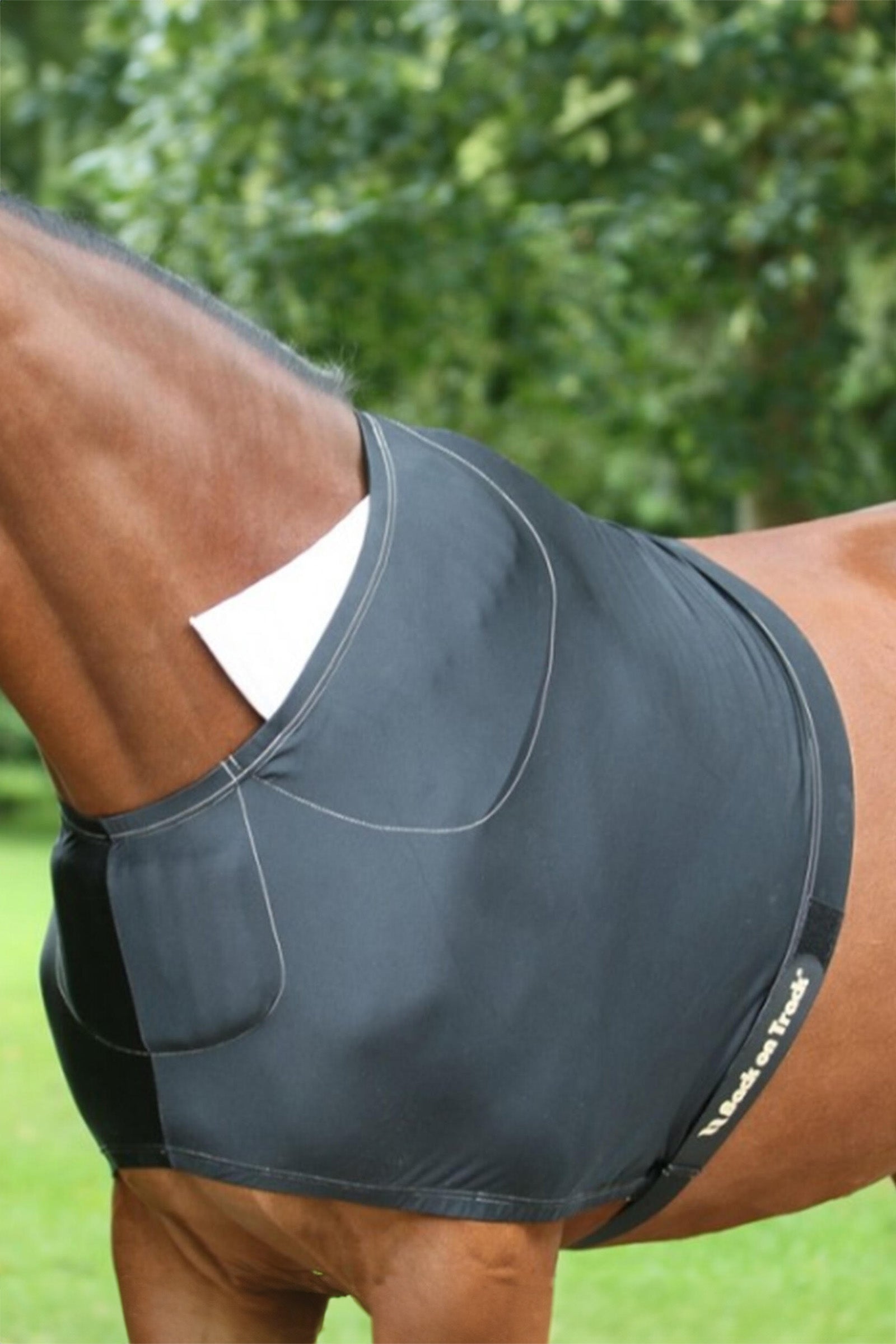 Back on Track Borstbeschermer Paardendekens