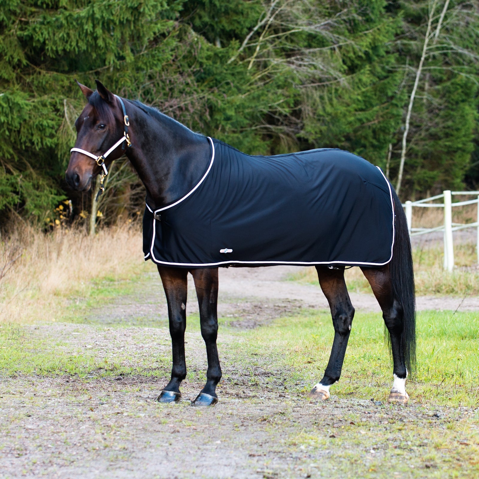 Finntack Pro Pritex Summer Rug Paardendekens