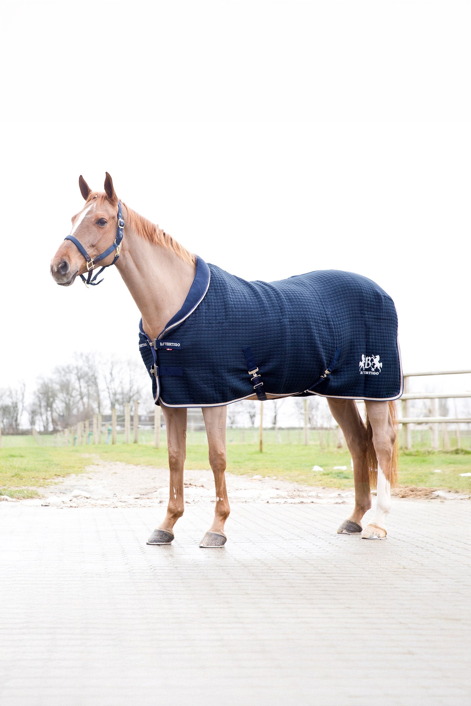 B Vertigo Theo Thermo Deken Paardendekens