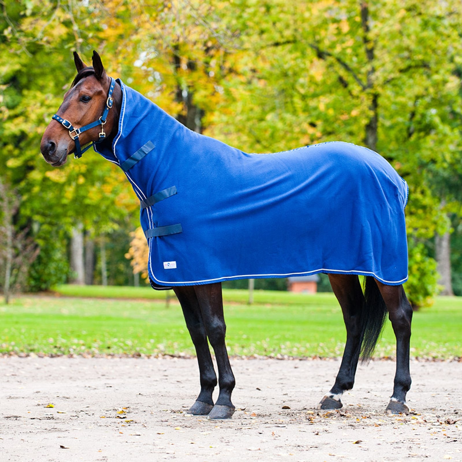 Finntack Pro High Neck Cooler Rug Horse Rugs