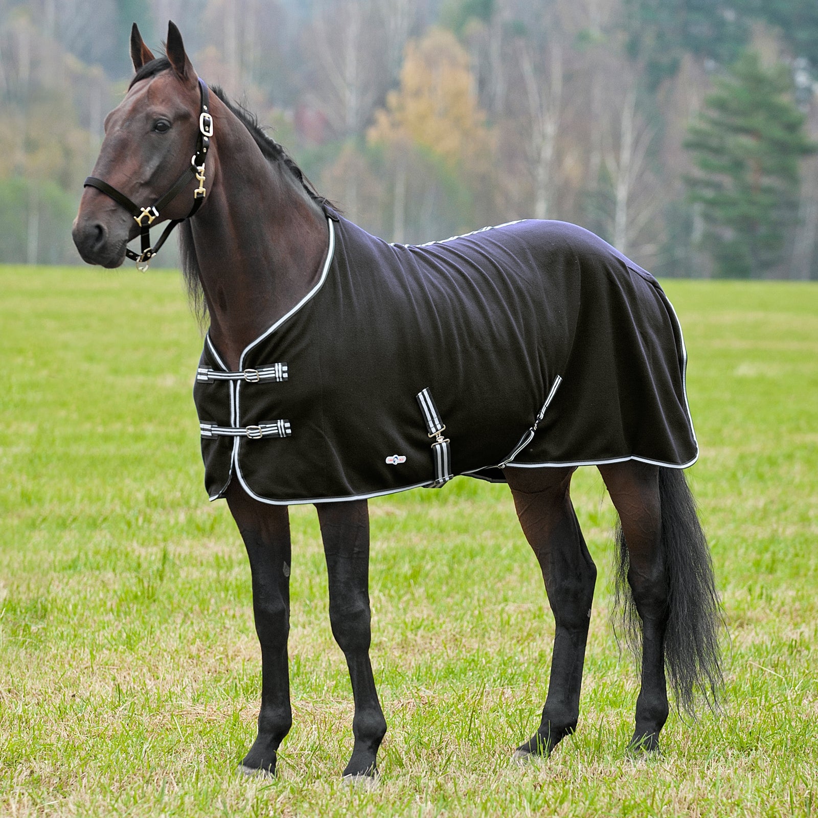Finntack Zachte fleecedeken Paardendekens