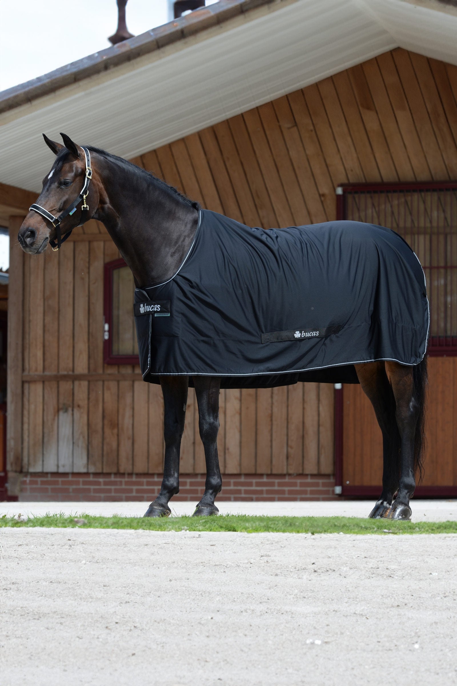 Bucas Shamrock Power Rug Horse Rugs