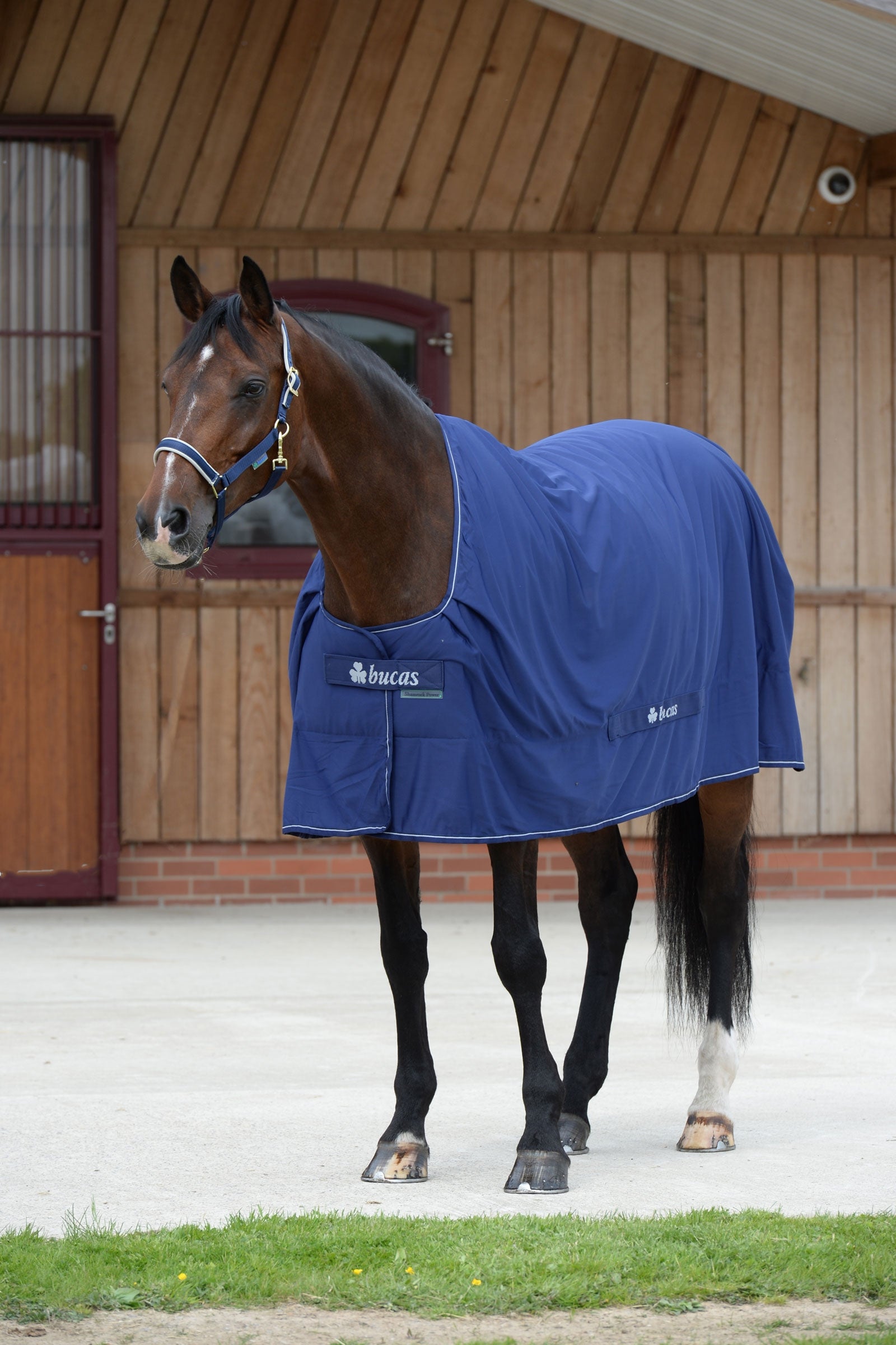 Bucas Shamrock Power deken Paardendekens