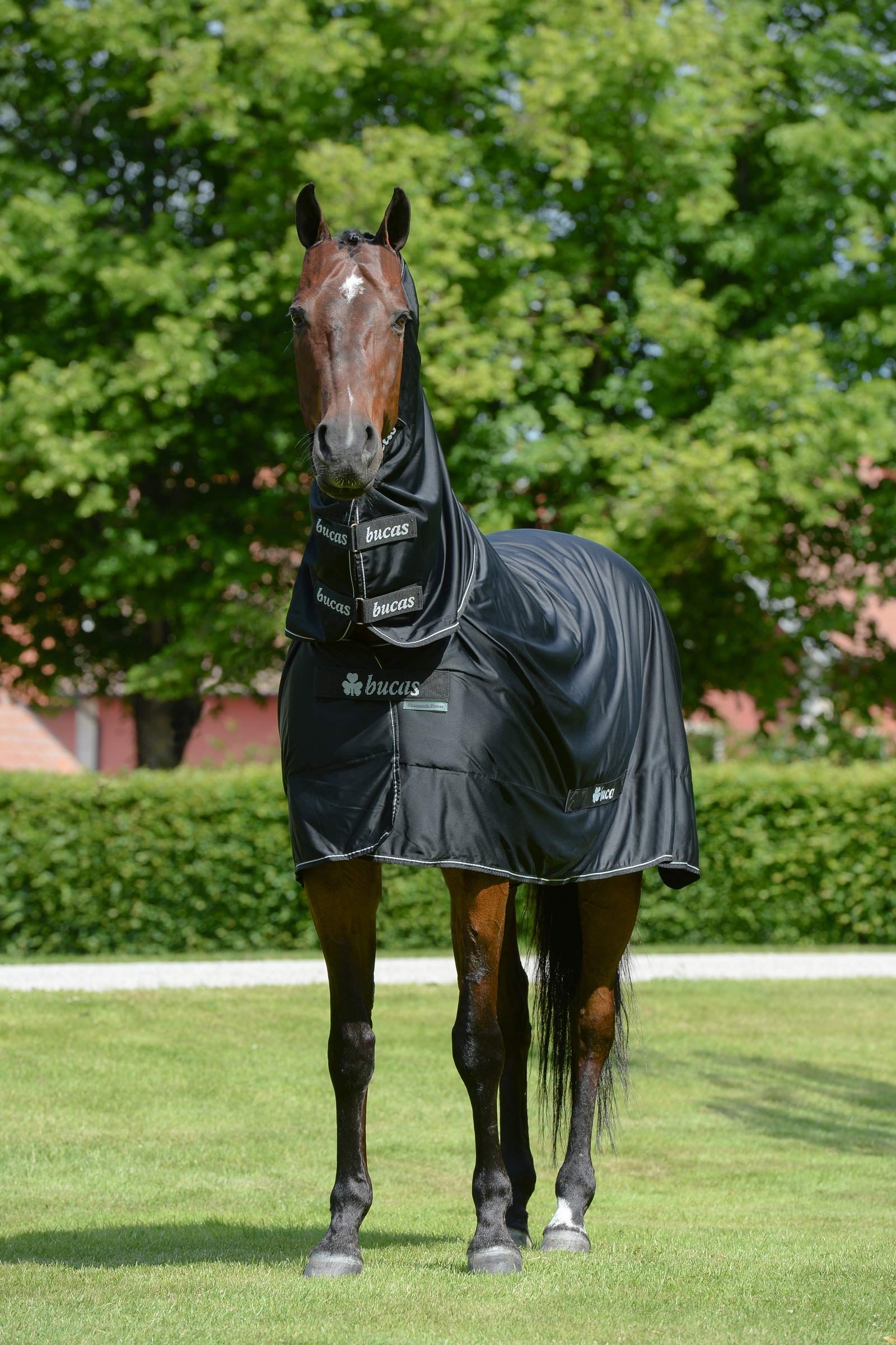 Bucas Shamrock Power uitrijdeken met halsteil Paardendekens