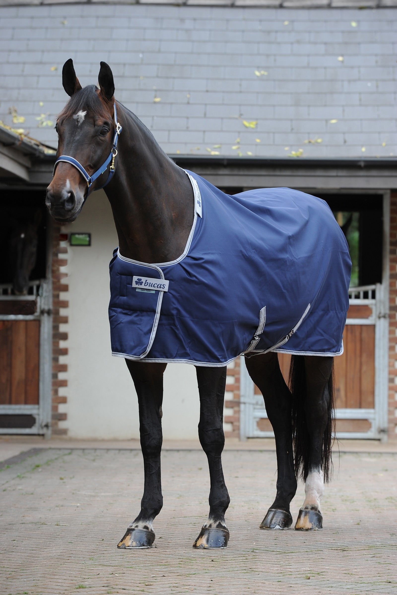 Bucas Celtic Stable Extra deken Paardendekens