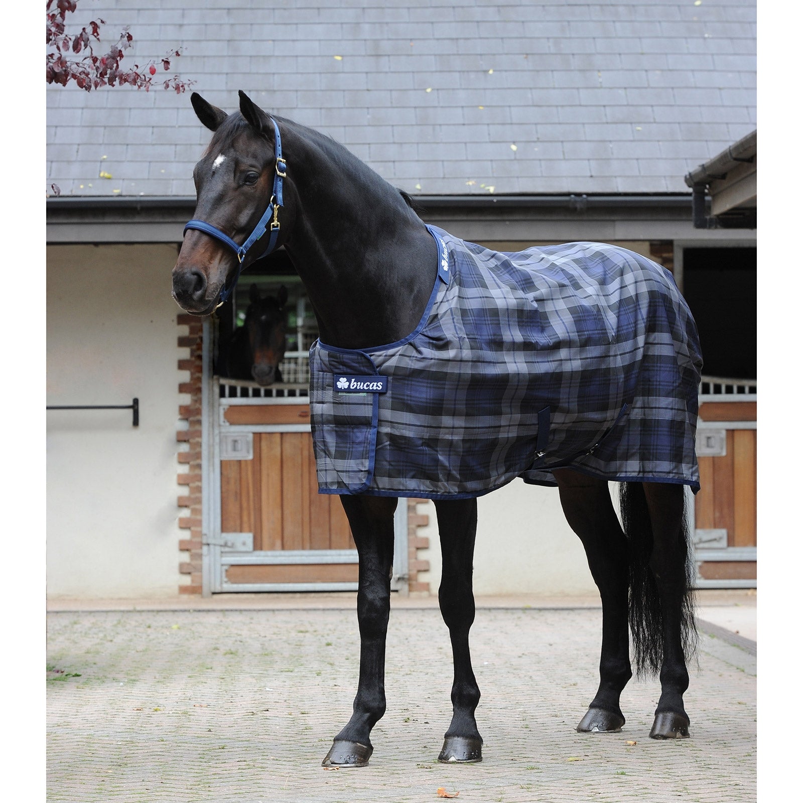 Bucas Celtic Stable Extra deken Paardendekens