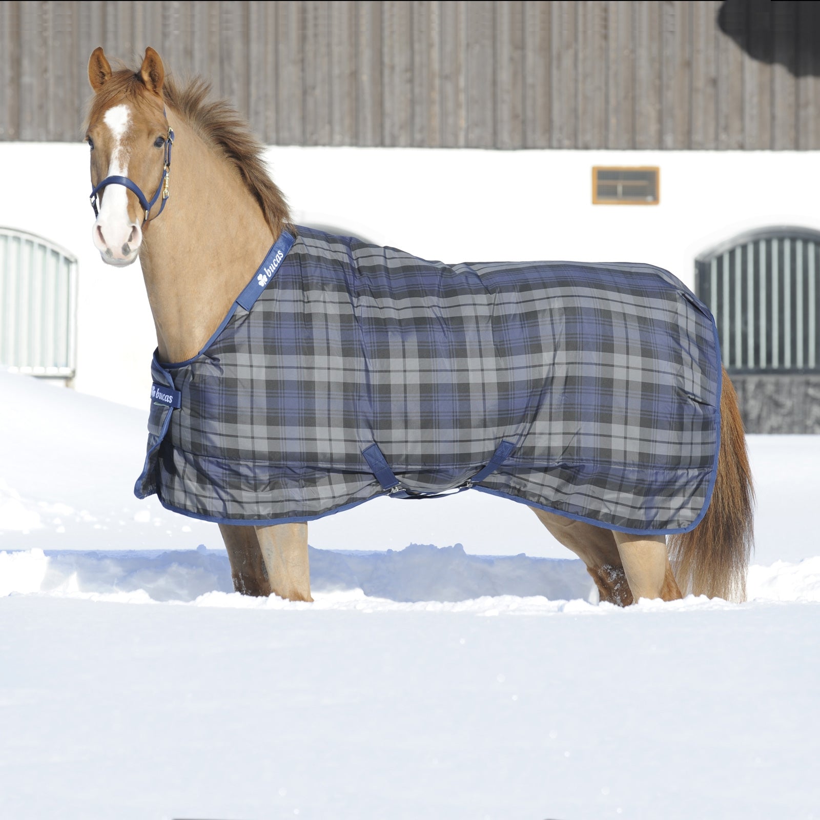 Bucas Celtic Staldekens Light Paardendekens