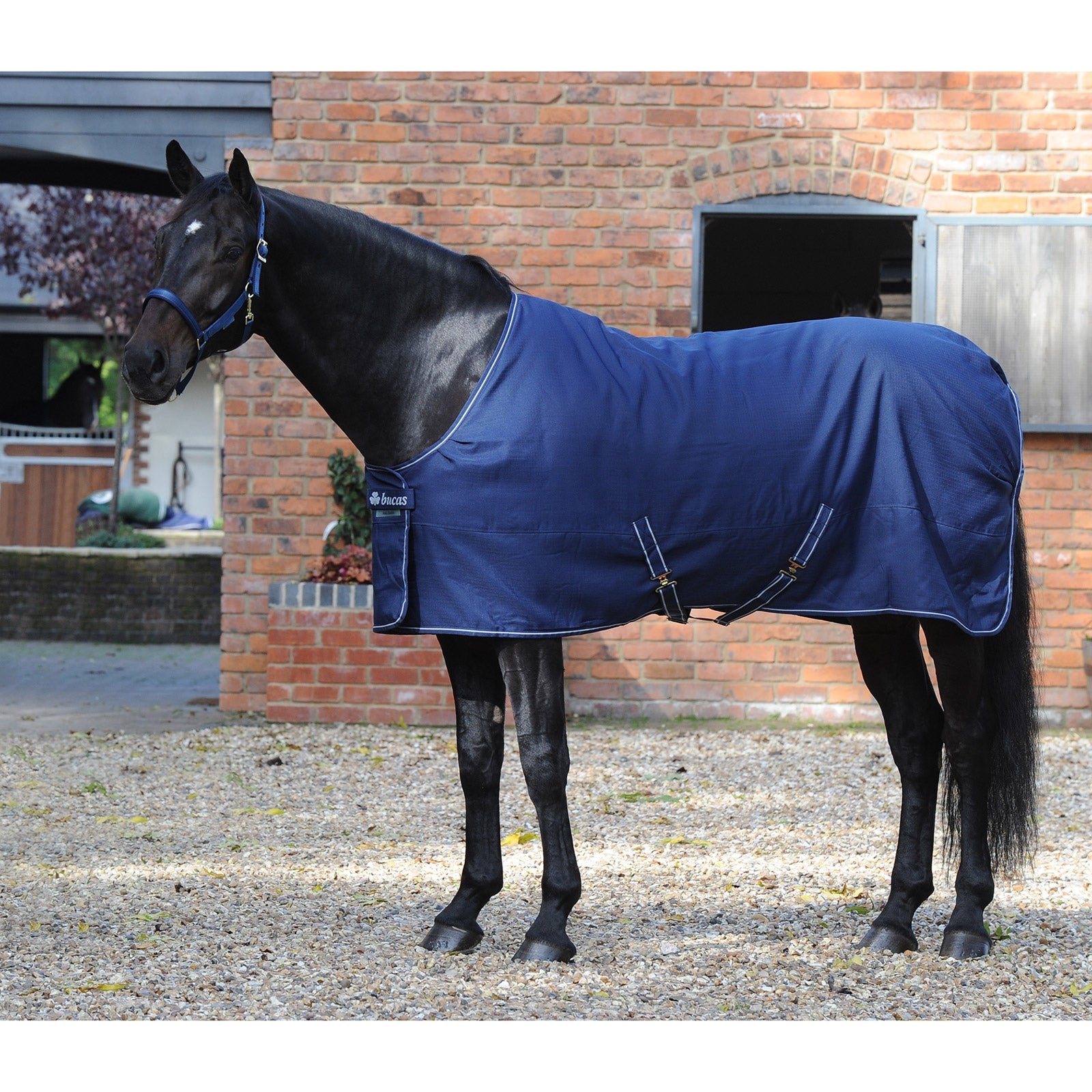 Bucas Irish Stable blanket, Light Horse Rugs