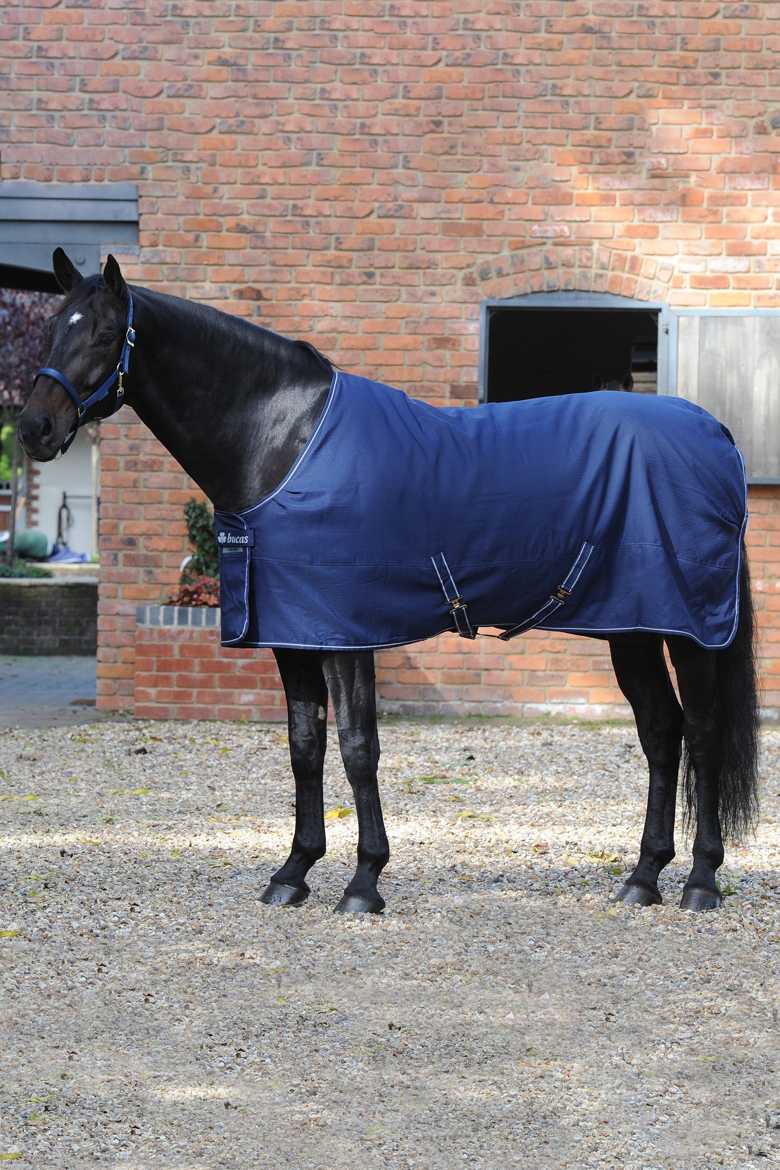 Bucas Irish Stable blanket, Light Horse Rugs