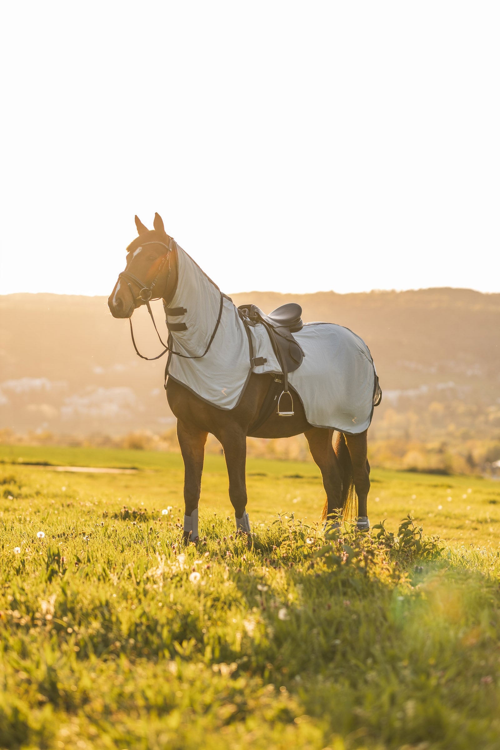 Horze Eira UV Fly Riding Rug With Detachable Neck Horse Rugs