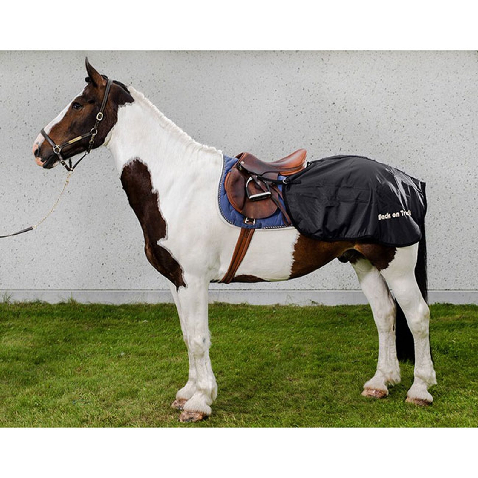 Back on Track Lendedeken Paardendekens