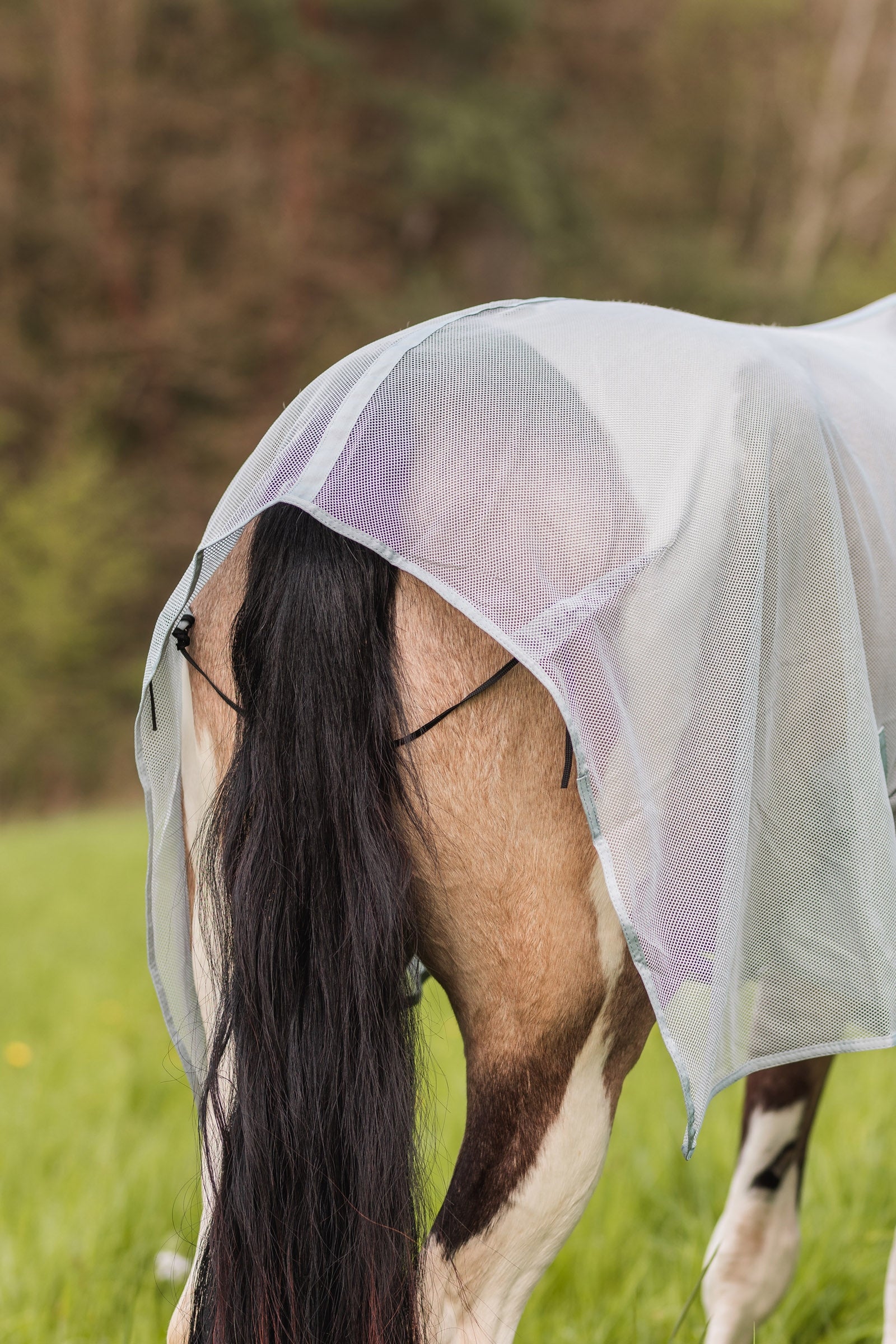 Horze Orleans Fly Rug Horse Rugs