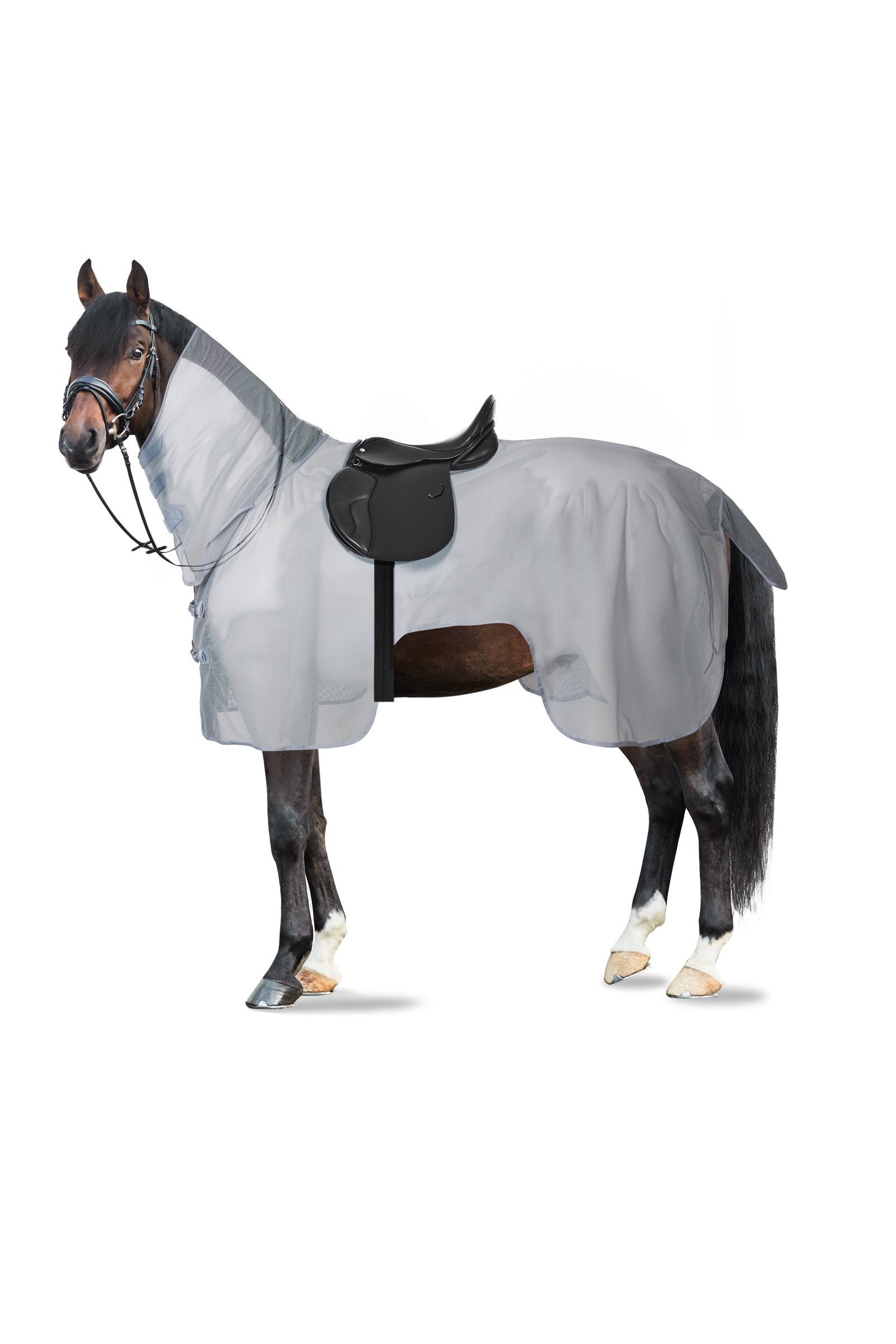 Horze Orleans Fly Riding Rug Horse Rugs