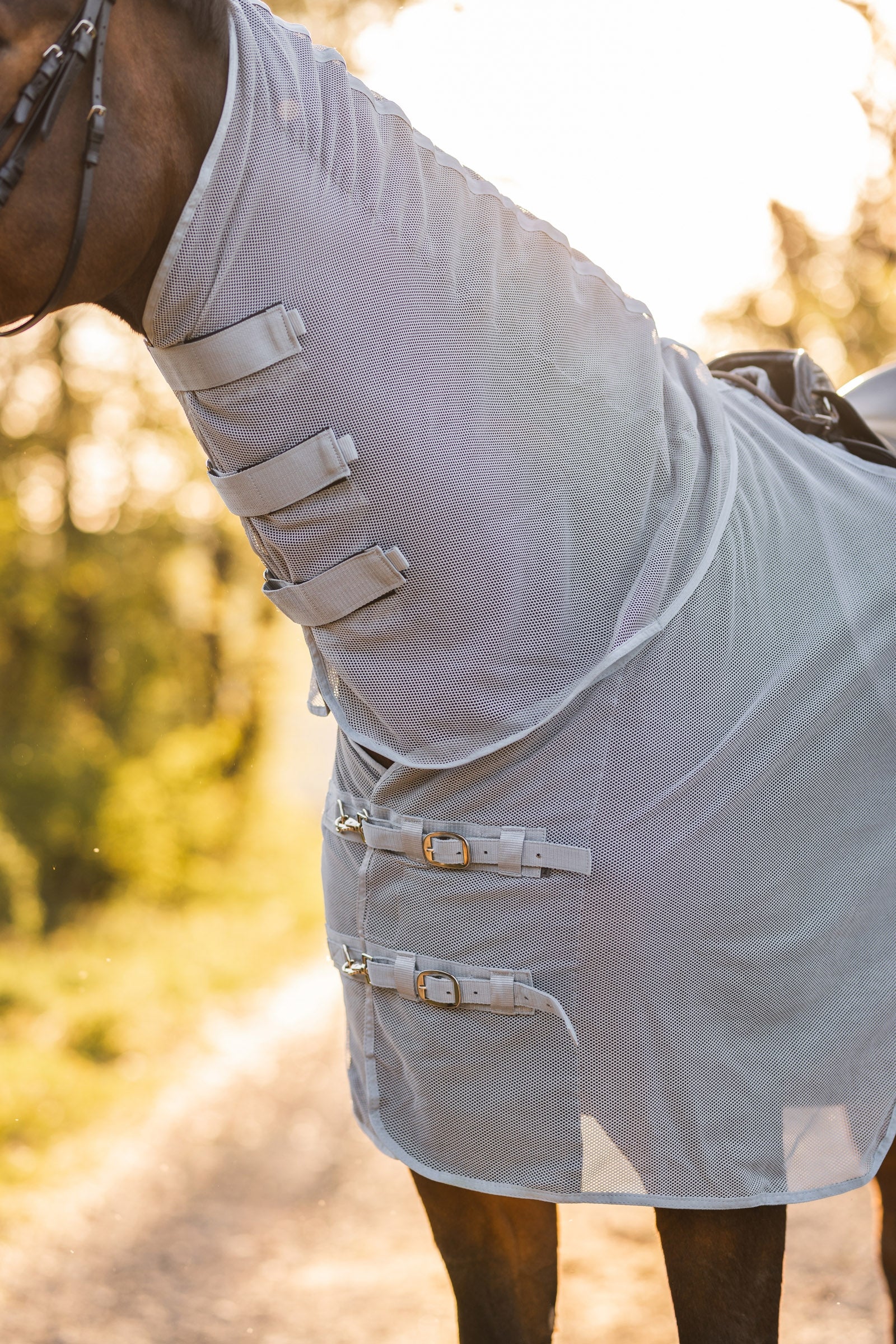 Horze Orleans Fly Riding Rug Horse Rugs