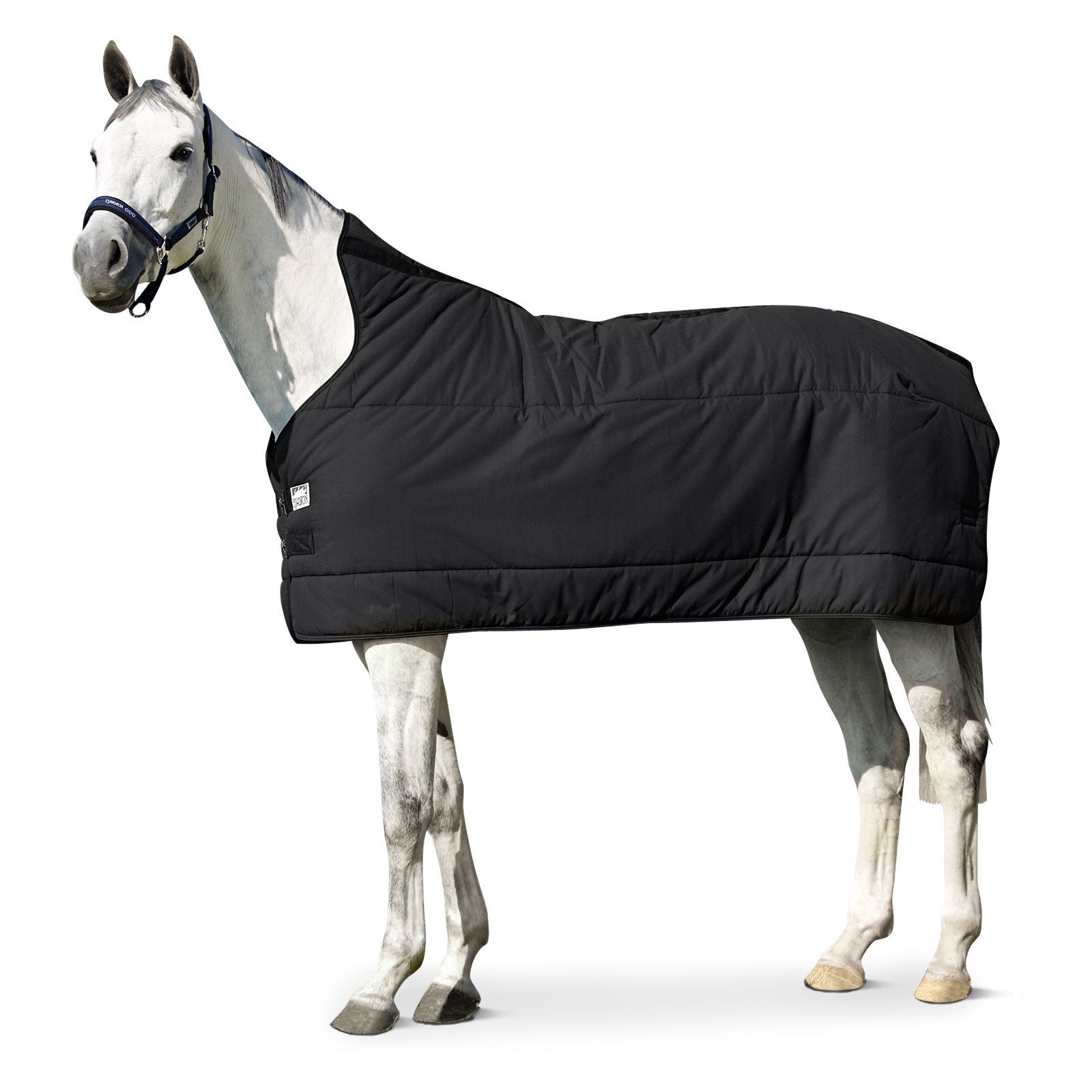 Eskadron Rug UNDER RUG 240 g Paardendekens