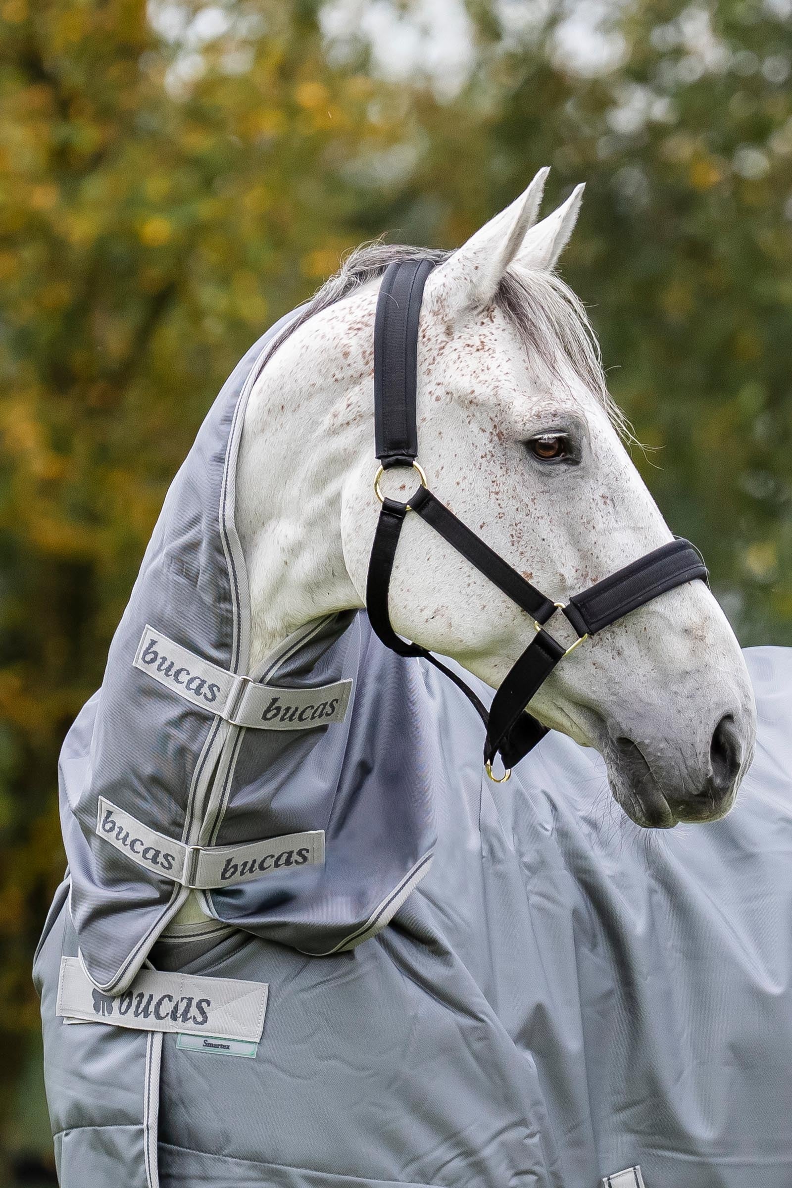 Bucas Smartex Neck, 0 g Horse Rugs