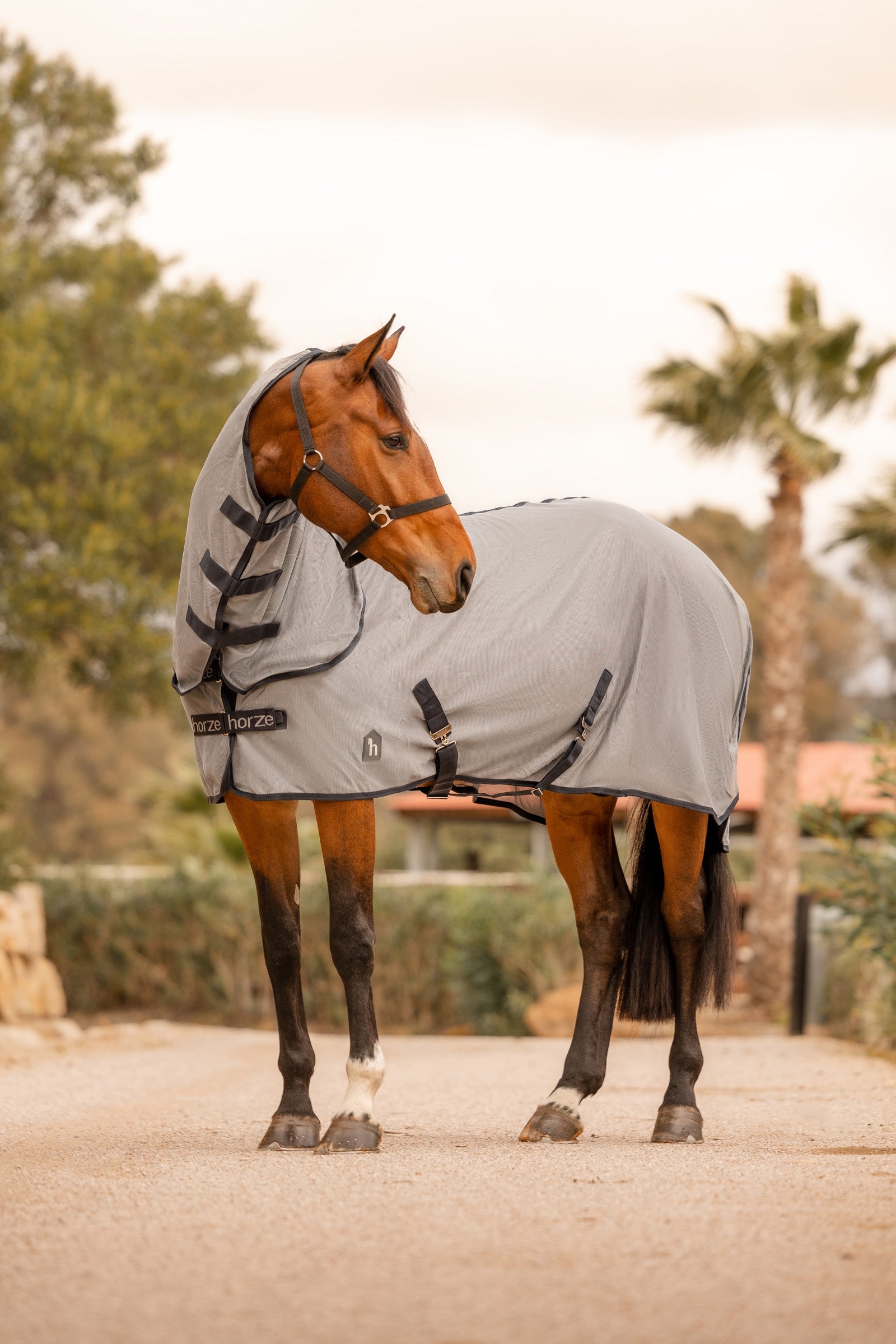 Horze Paso Fino Fly Rug with Detachable Neck and UV Protection Horse Rugs