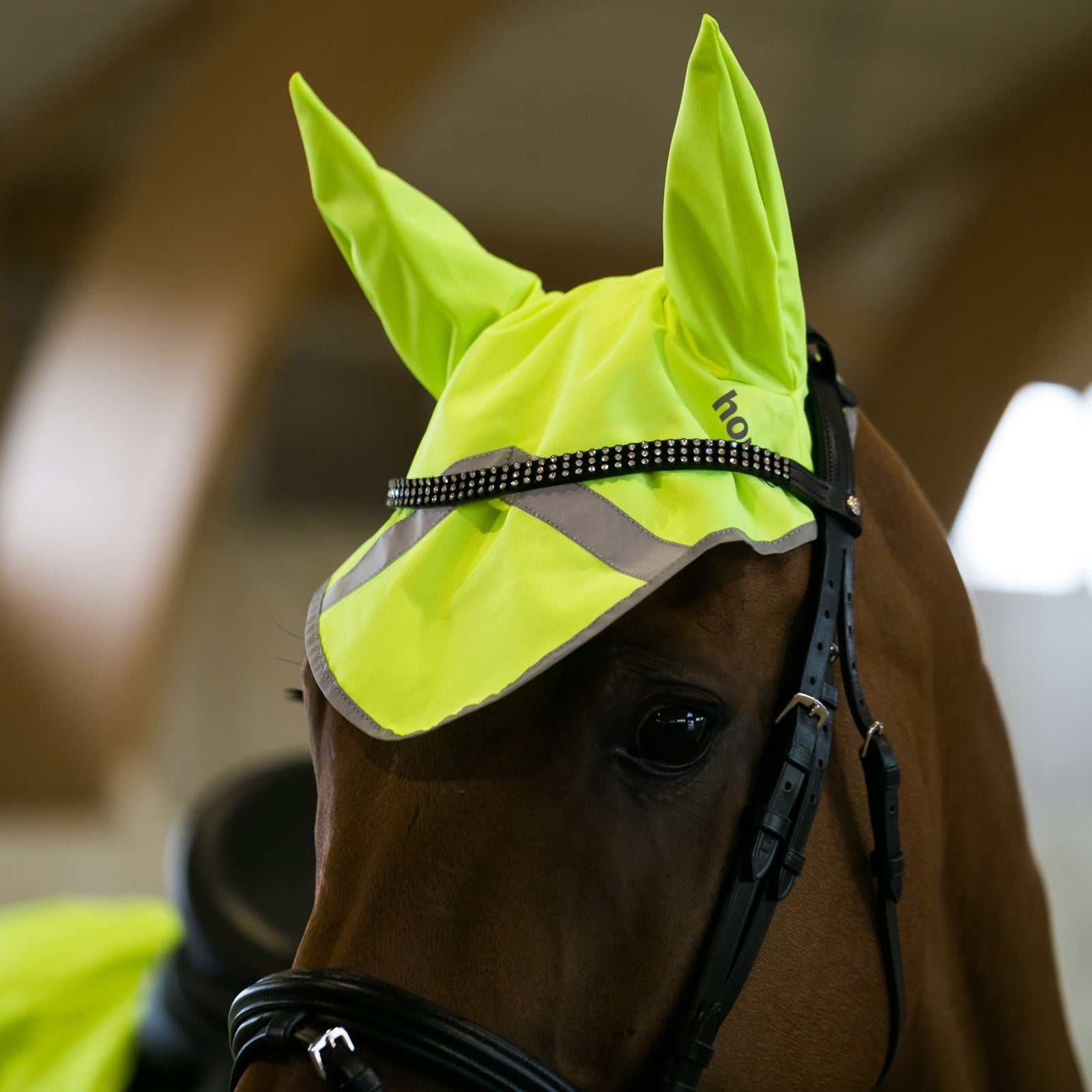 Horze Reflective Ear Net Reflective