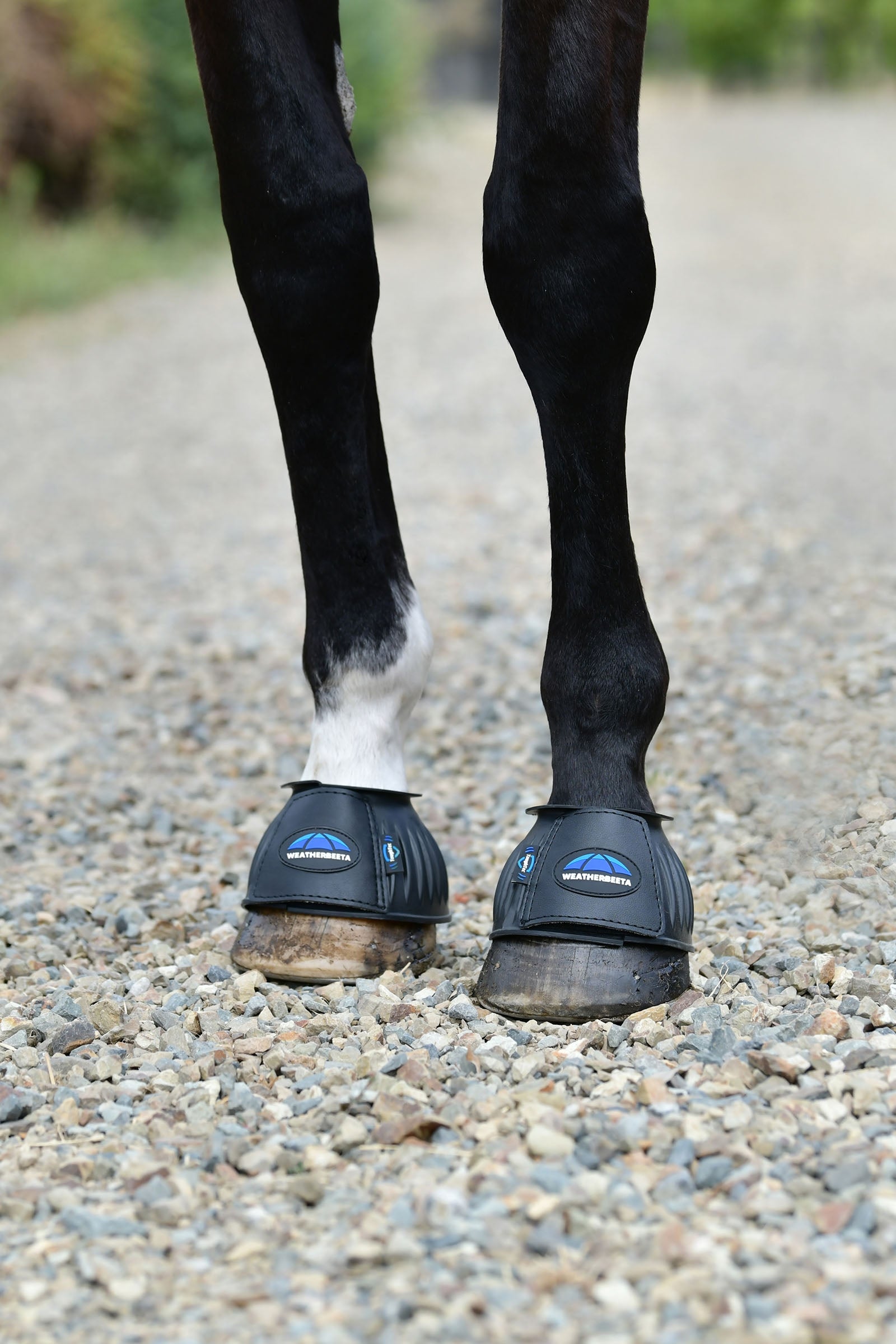 Weatherbeeta Tough-Tec Prime Rubber Bell Boots Leg Protection & Hoof Protection for Horses