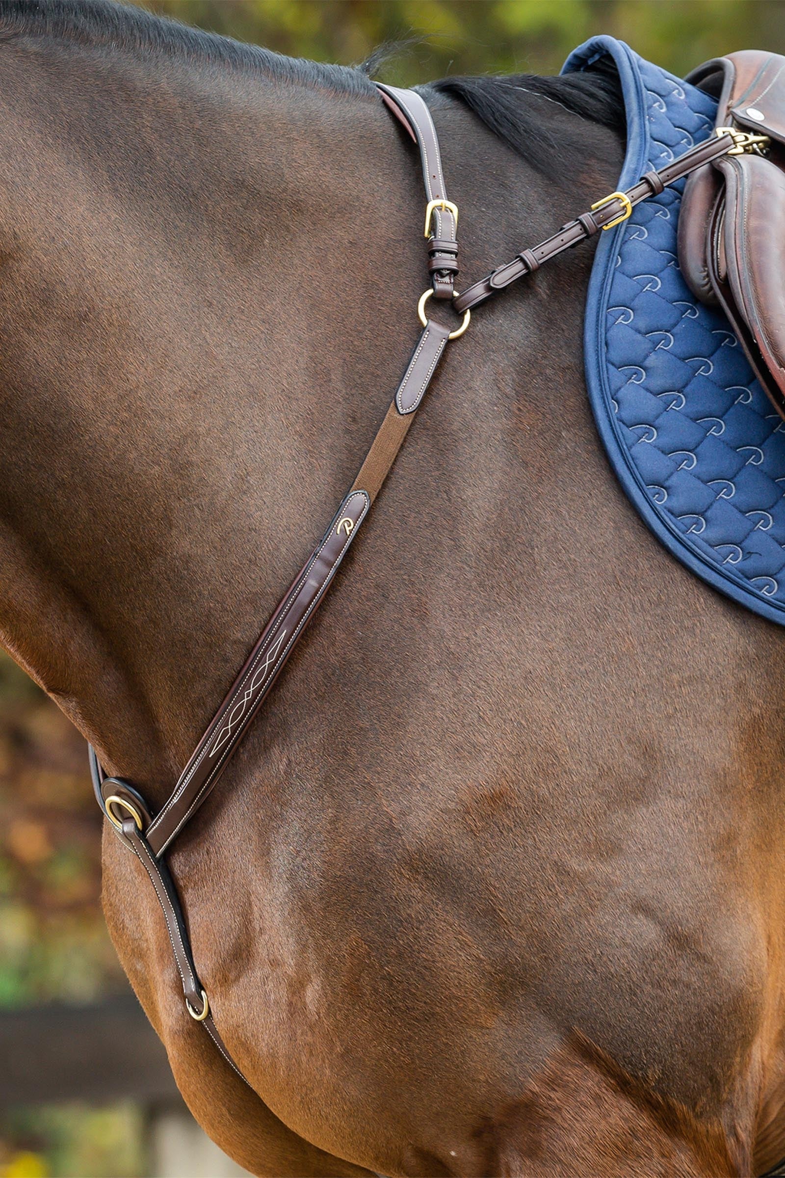 Dy'on D Collection voortuig met brug Hoofdstellen & Teugels