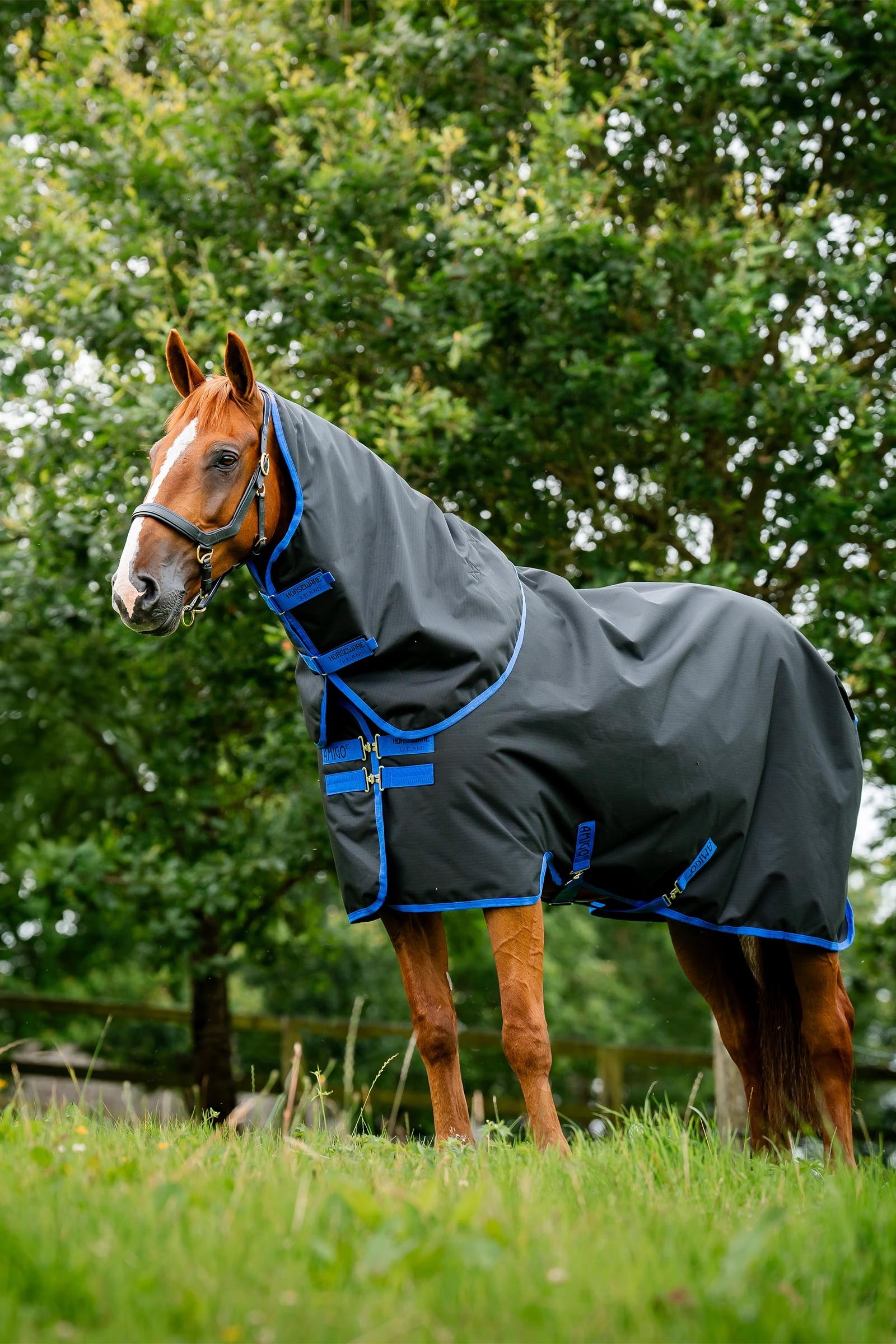 Horseware Amigo Ripstop 900D Plus outdoordeken met afneembaar halsdeel, 100 g Paardendekens