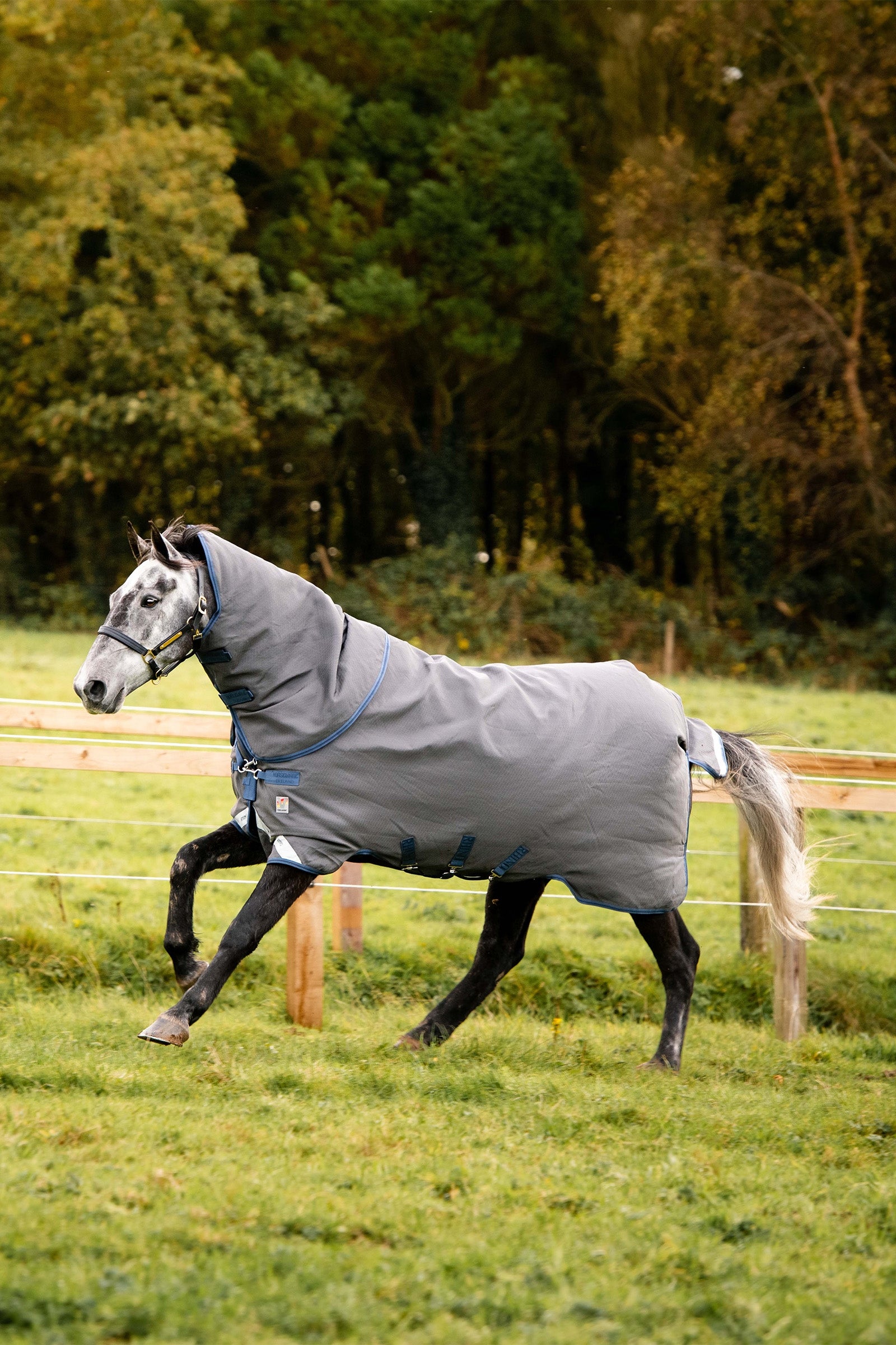 Horseware Rhino Plus HexSTOP Vari-Layer Weidedeken, 100g Paardendekens