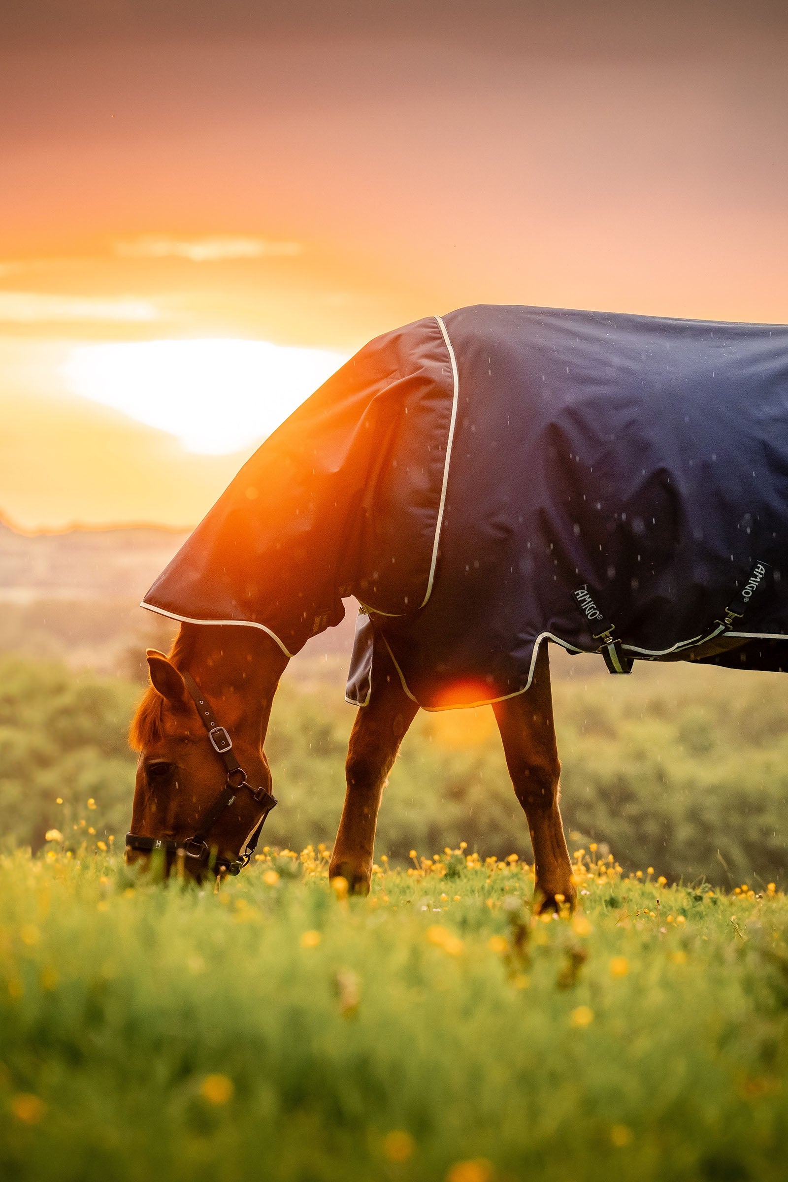 Horseware Amigo Ripstop 900D Plus Turnout Rug With Detachable Neck, 0 g Paardendekens