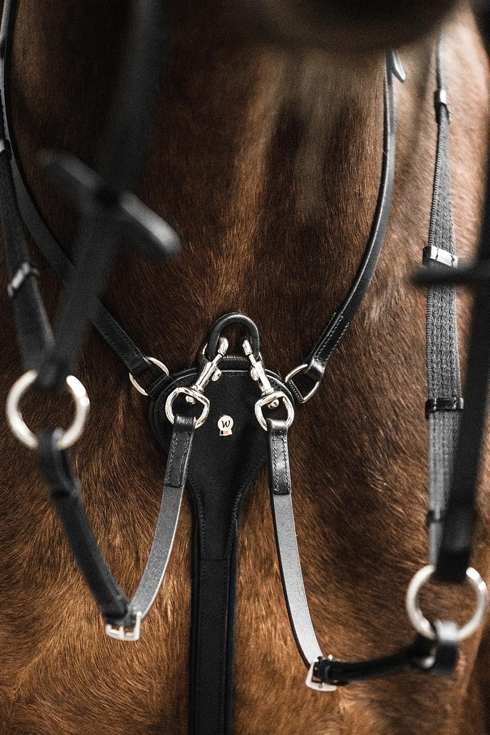 Waldhausen X-Line Professinal Martingale Bridles & Reins
