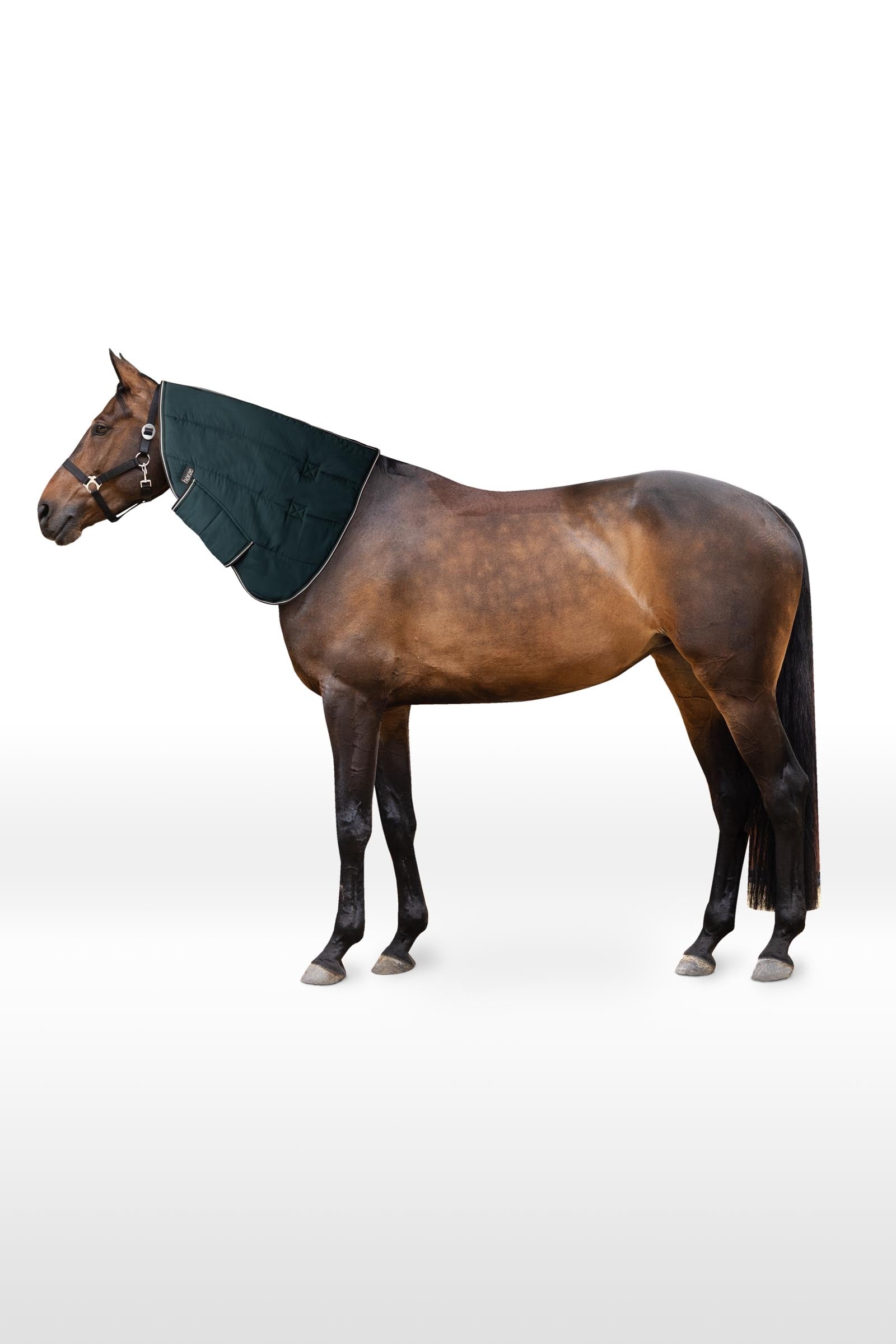 Horze Glasgow Pony Stable Rug Hood Horse Rugs