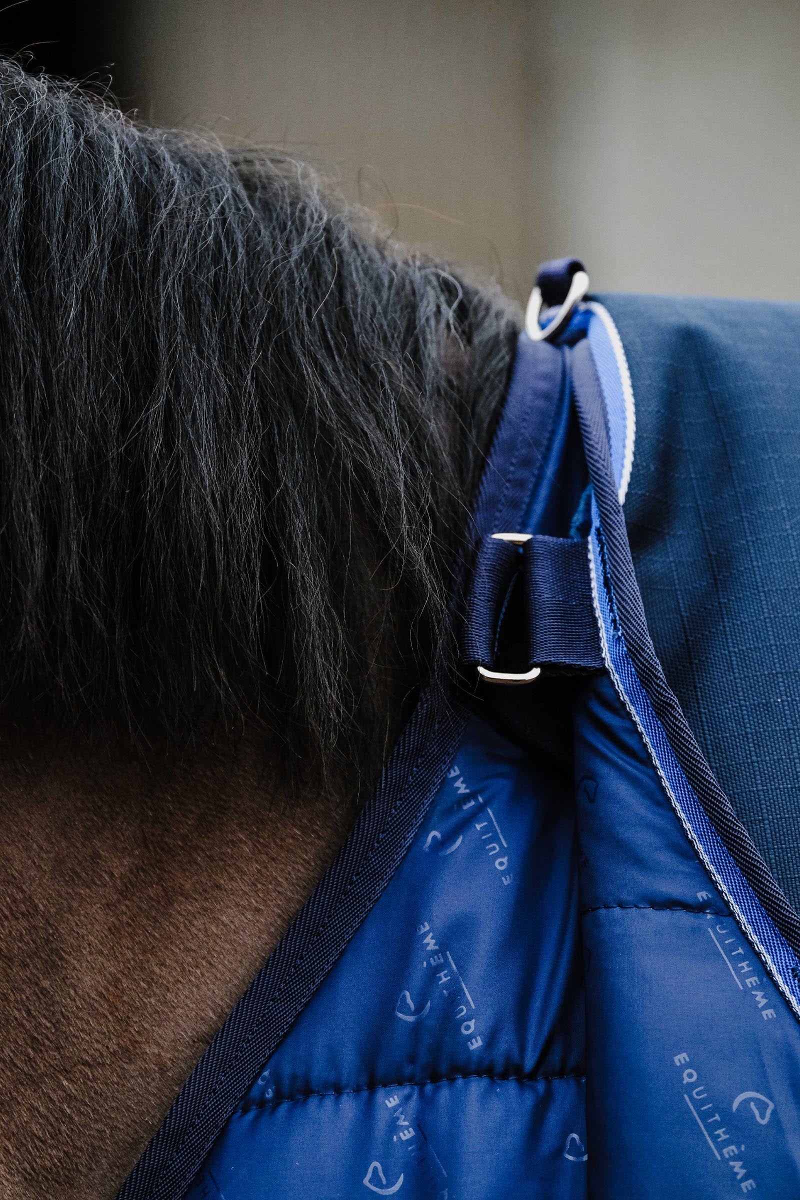 EQUITHÈME Classic Under Rug, 50 g Horse Rugs