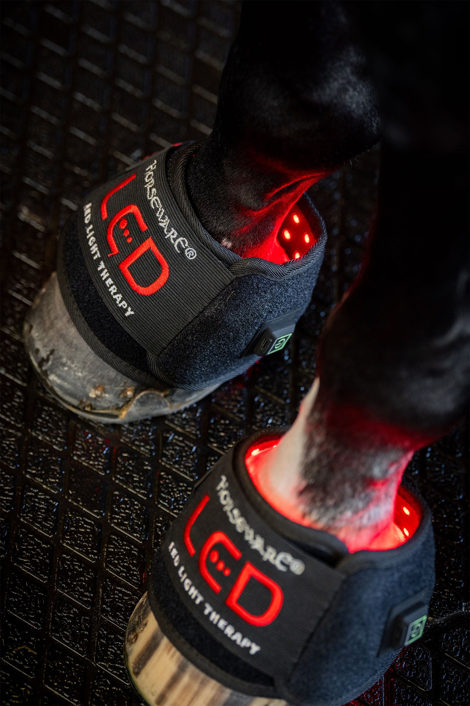 Horseware LED Red Light Therapy Mini Leg Wrap (1 pc.) Leg Protection & Hoof Protection for Horses