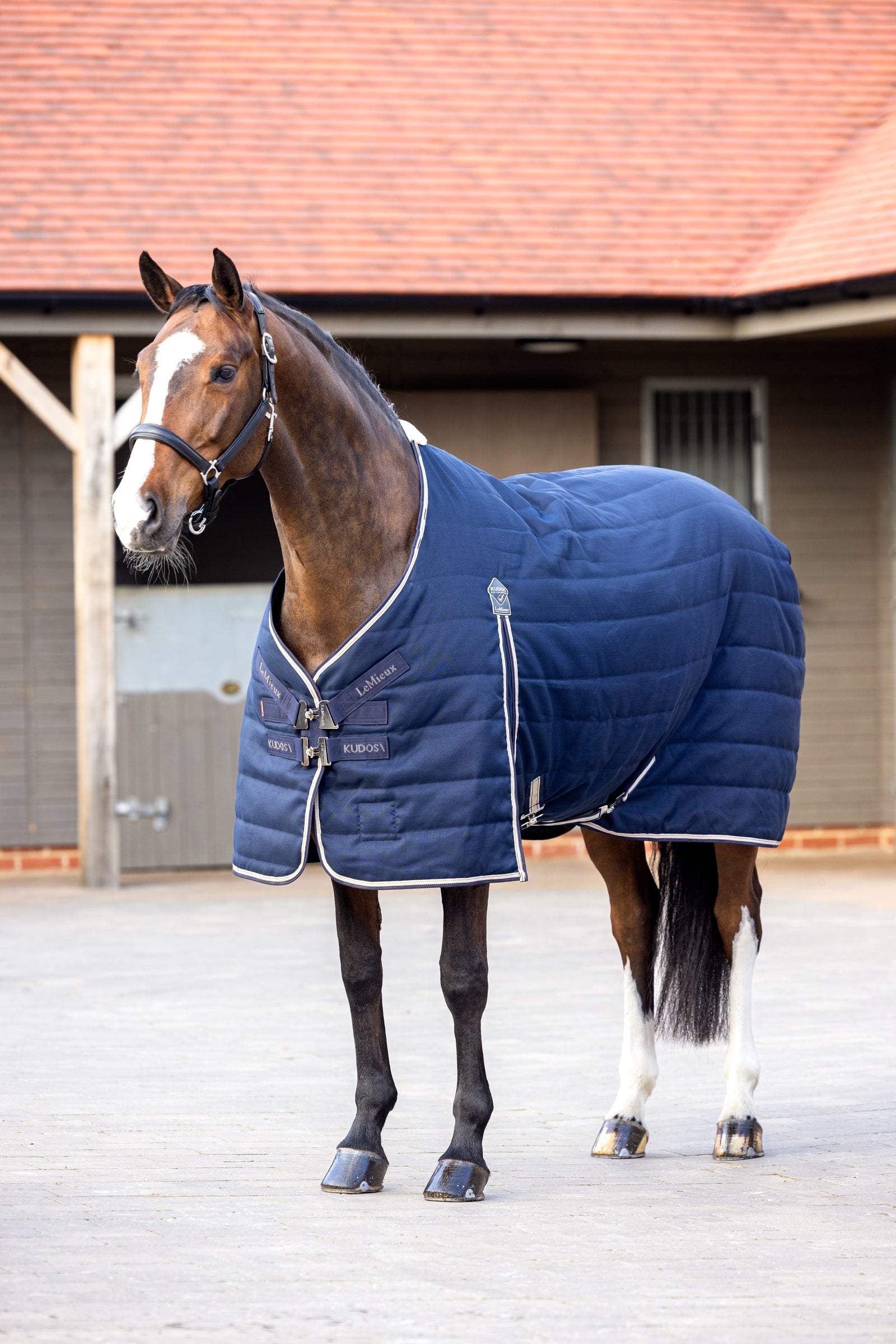 LeMieux Kudos Stable Rug, 100g Paardendekens