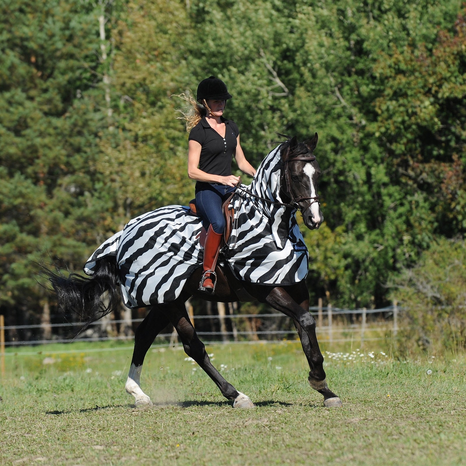 Bucas Buzz-Off Zebra Fly- and Riding Rug Horse Rugs
