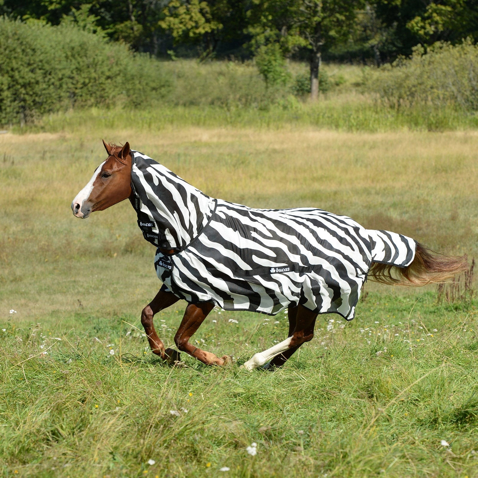 Bucas Buzz-Off Zebra deken Paardendekens