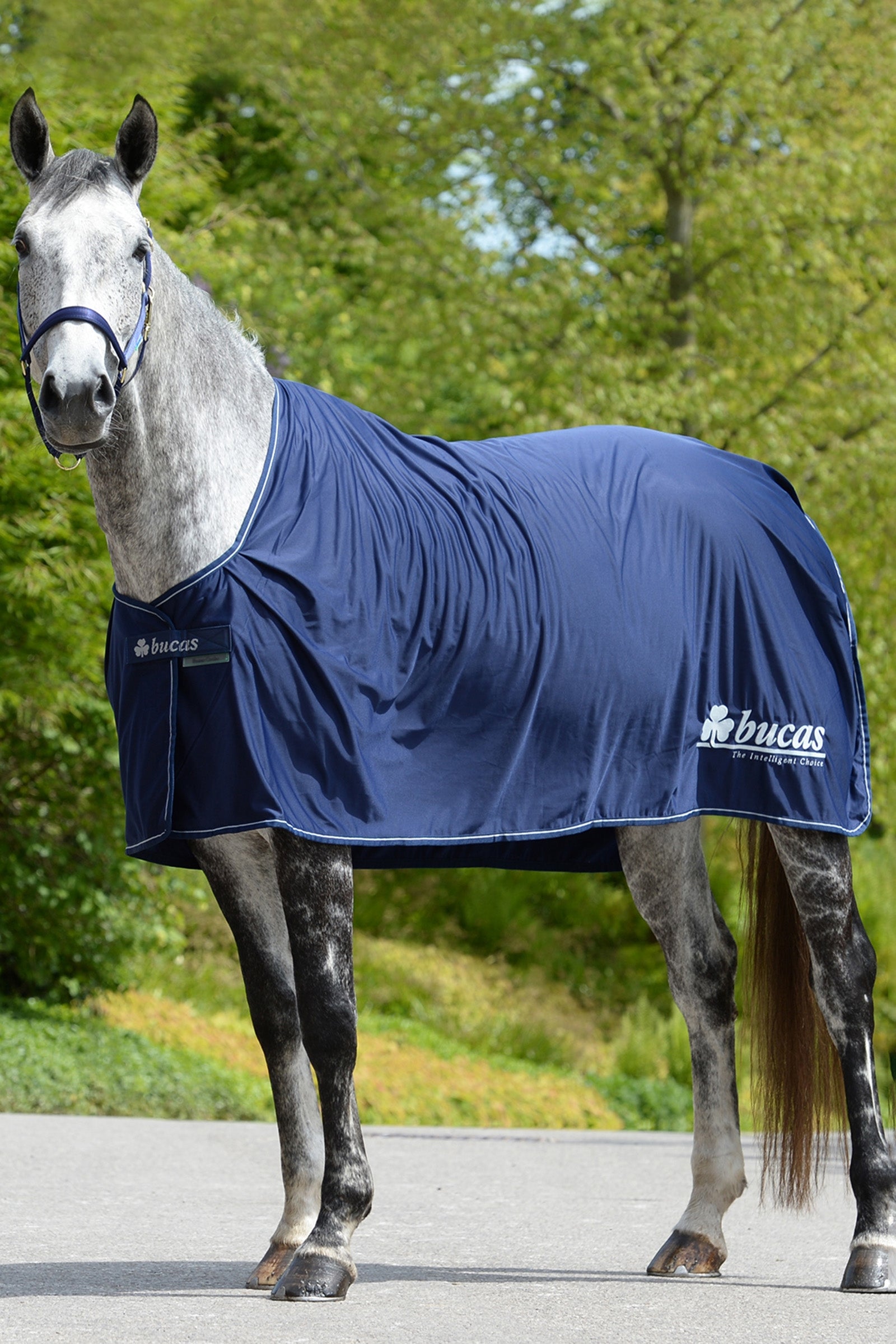 Bucas Power Prize Cooler Horse Rugs